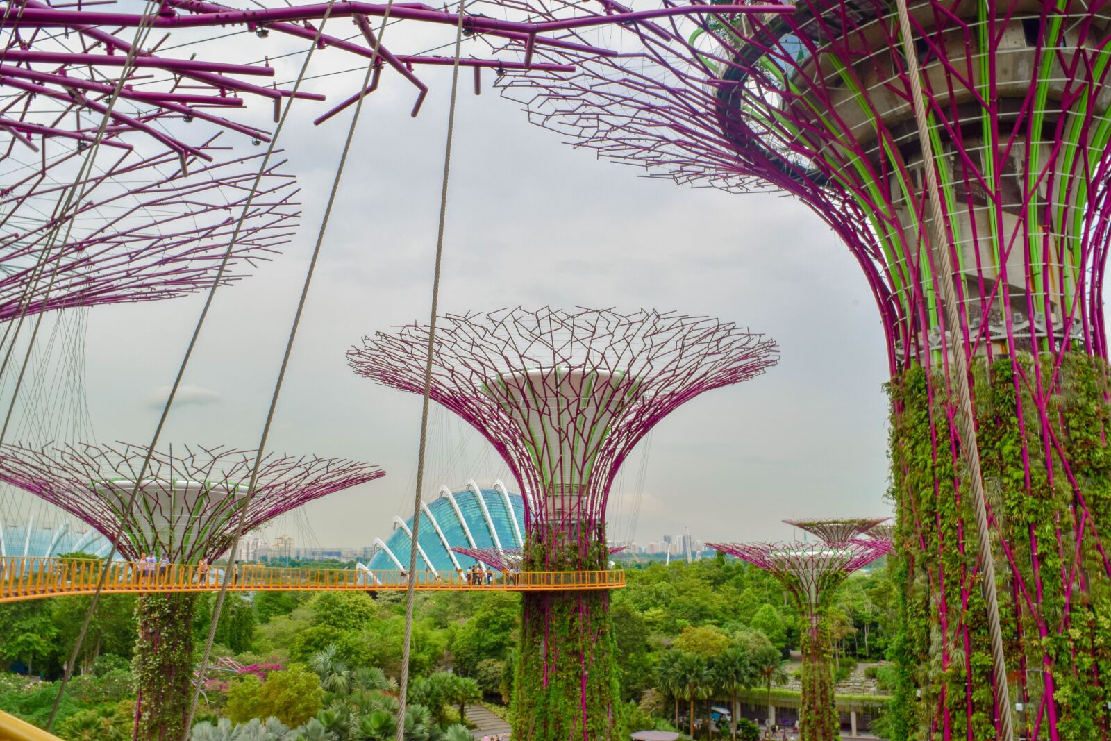 Nikon D5300 sample photo. Singapore, garden, hanging photography