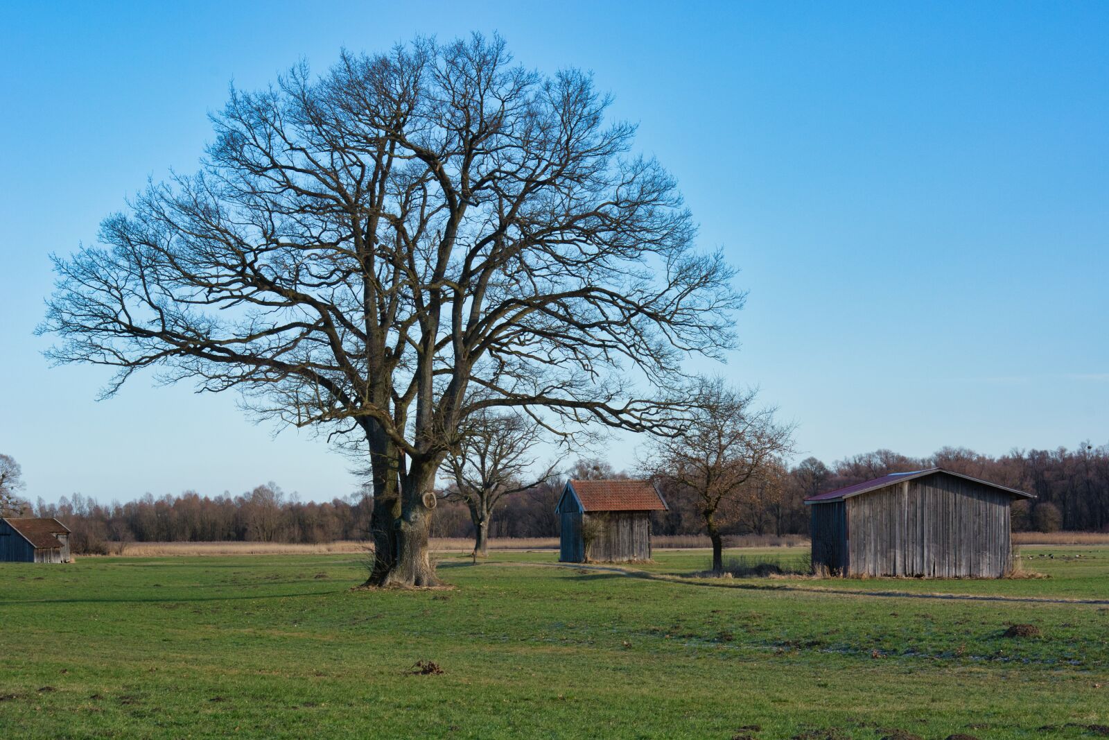 Nikon D7100 sample photo. Tree, hut, barn photography