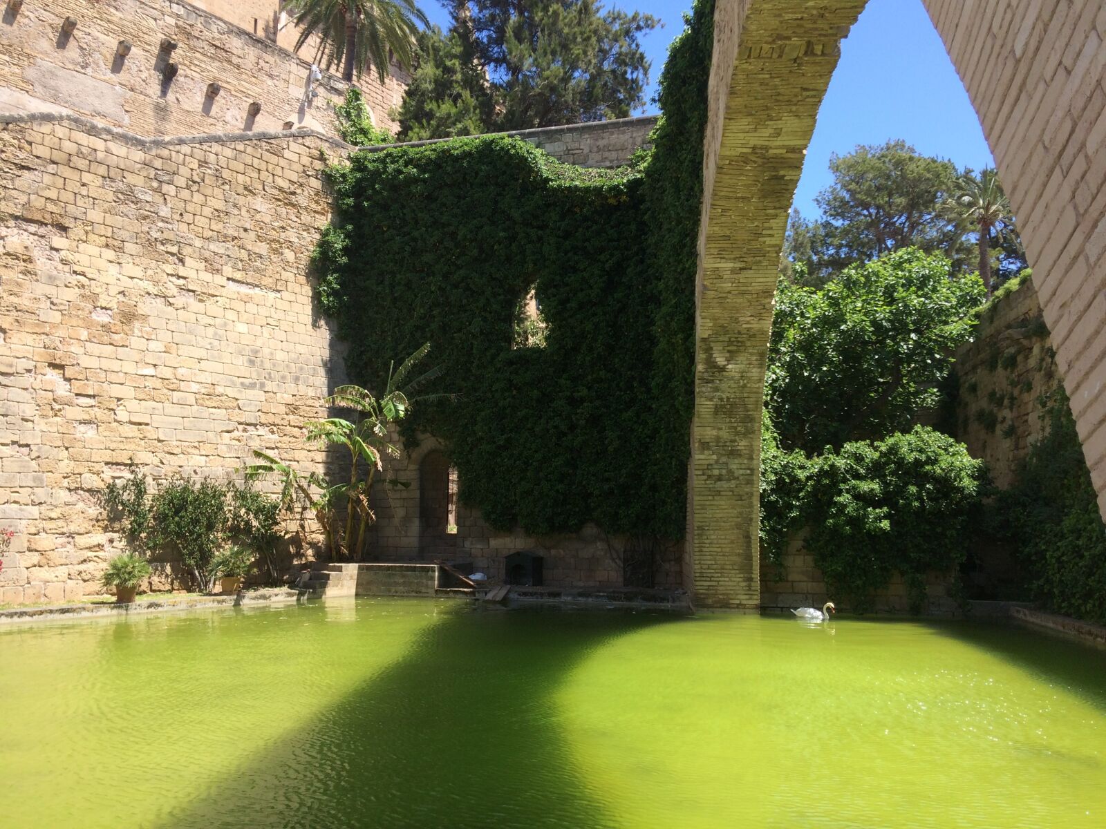 Apple iPhone 5s sample photo. Mallorca, holiday, cathedral photography