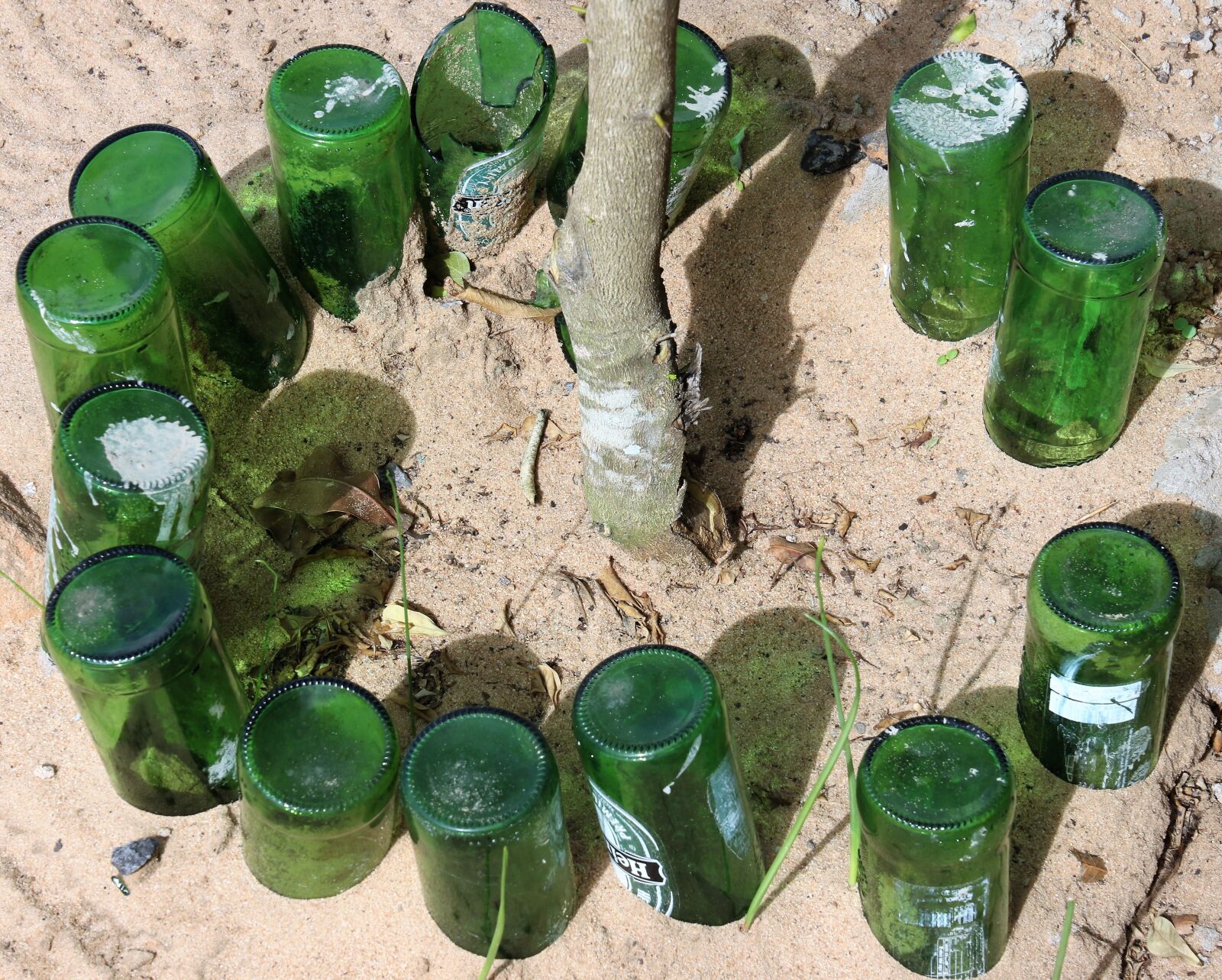 Canon EOS 7D Mark II sample photo. Beer, bottles, circle, glass photography