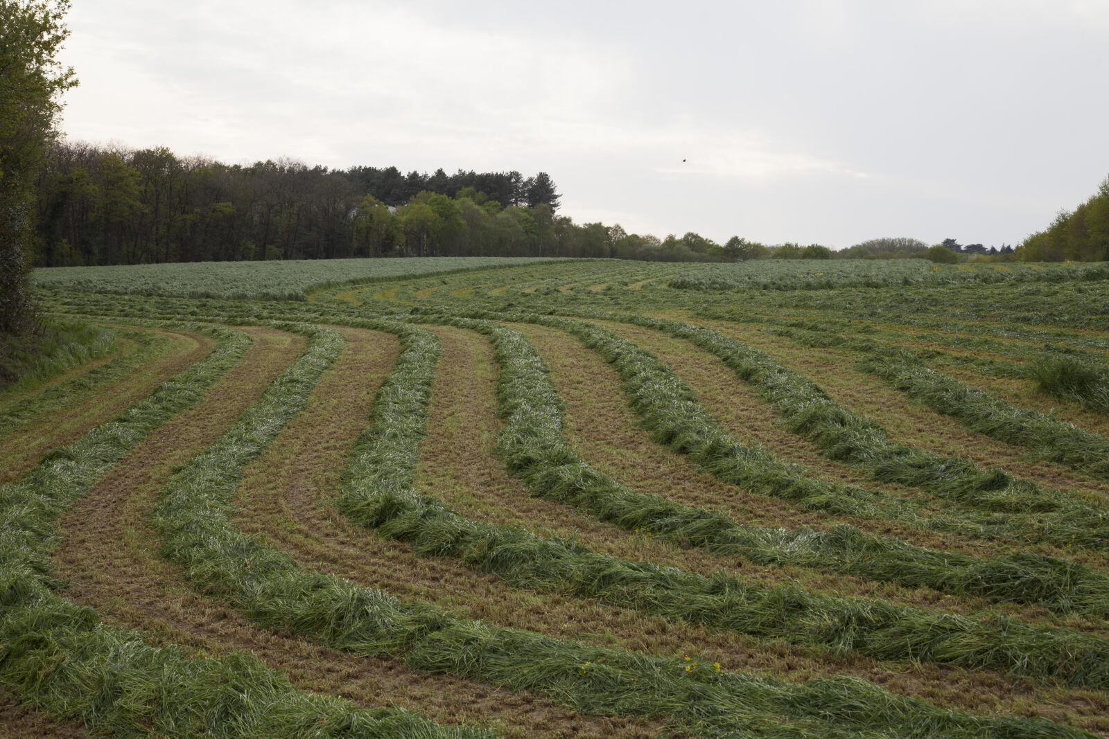 Canon EF 24-105mm F4L IS USM sample photo. Agricultural, agricultural, machine, field photography