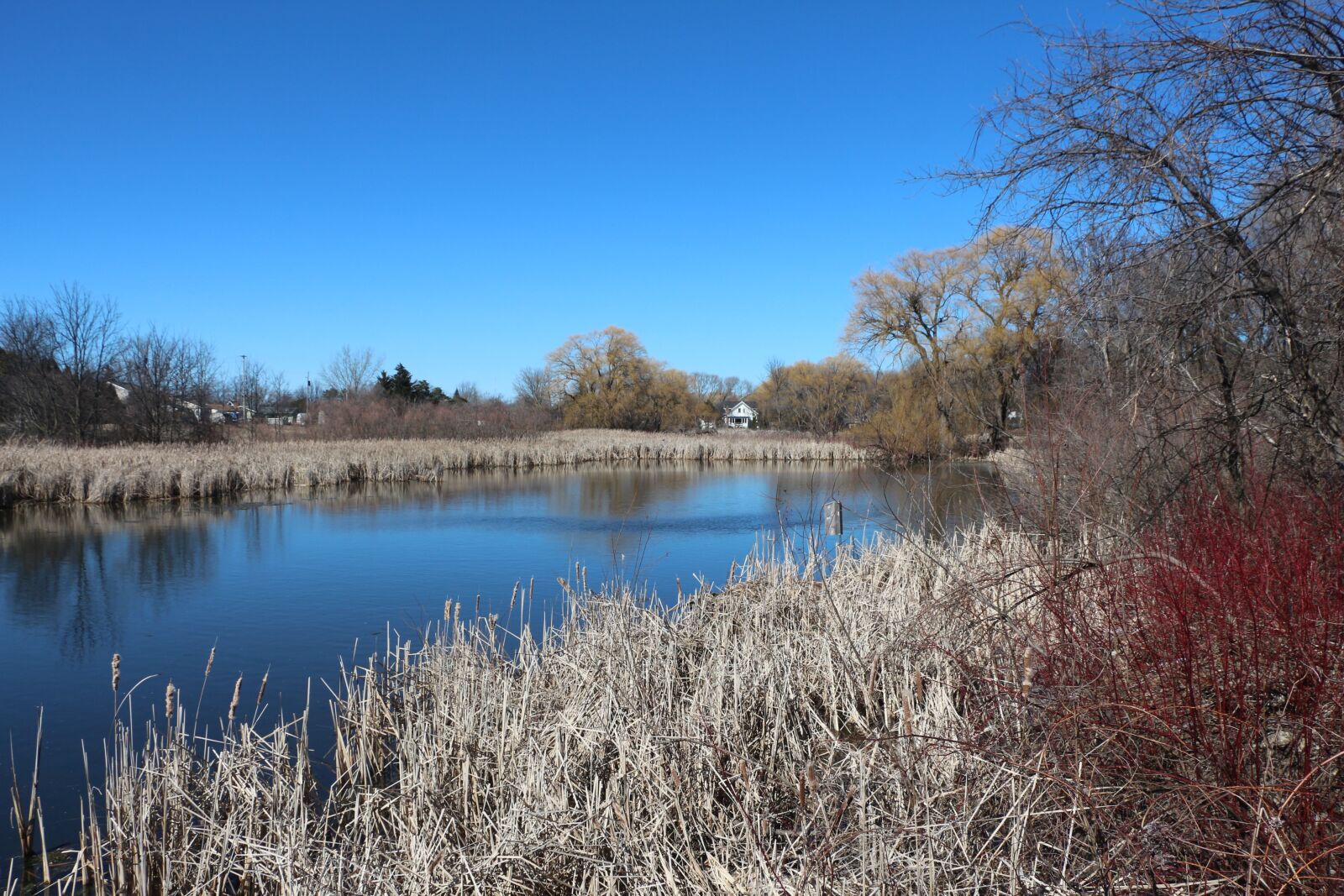 Canon EOS 650D (EOS Rebel T4i / EOS Kiss X6i) + Canon EF-S 18-135mm F3.5-5.6 IS STM sample photo. Pond in spring, pond photography