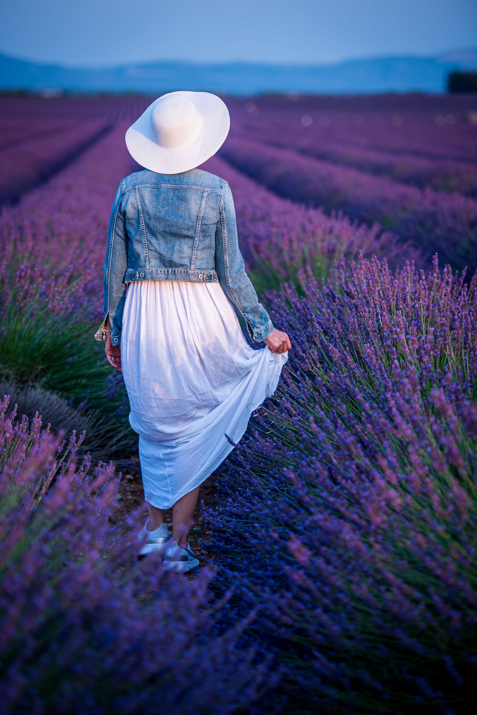 Nikon D750 sample photo. Lavender, fields, hat photography