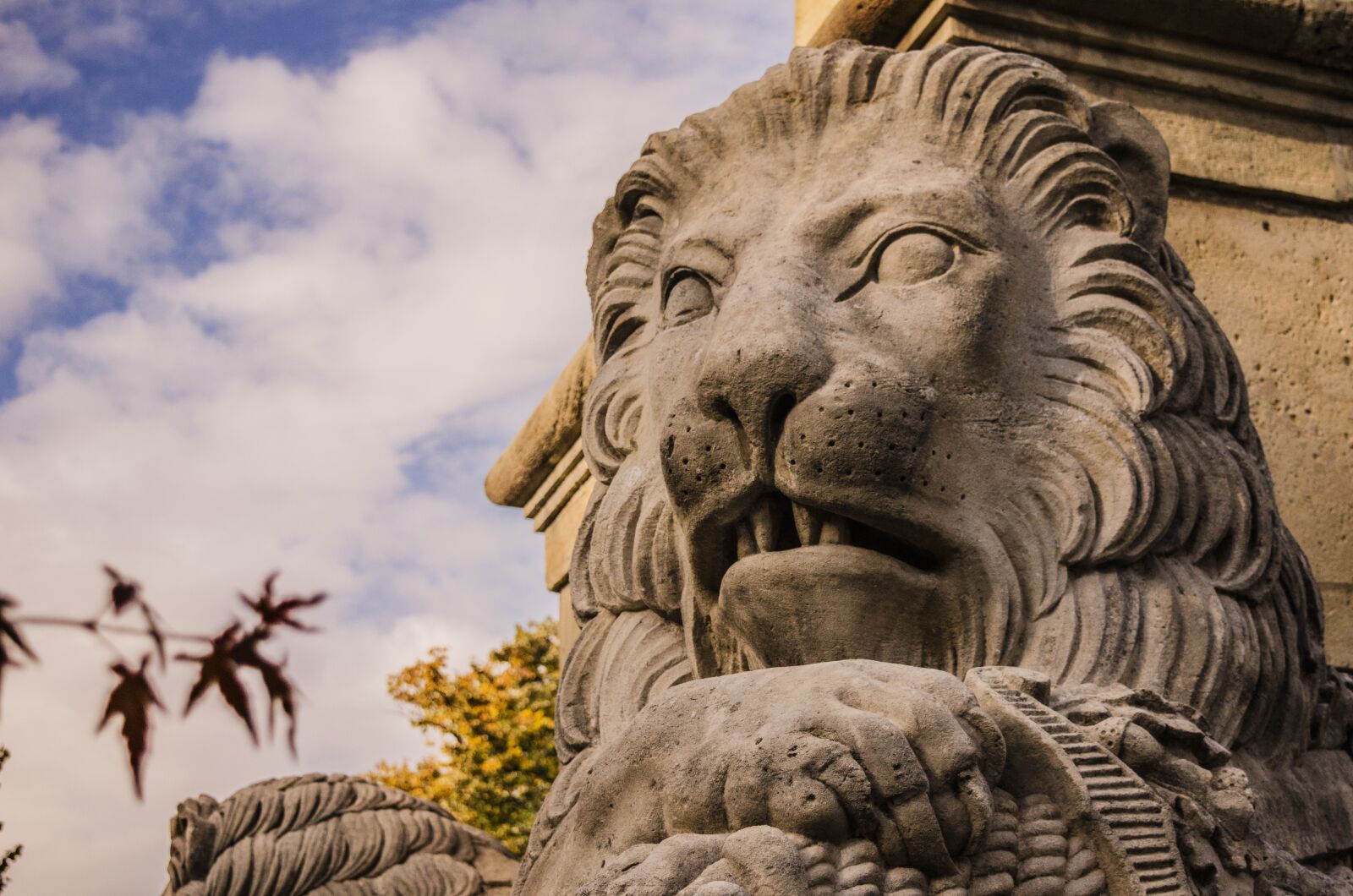 Nikon D7000 sample photo. Lion, statue, closeup photography