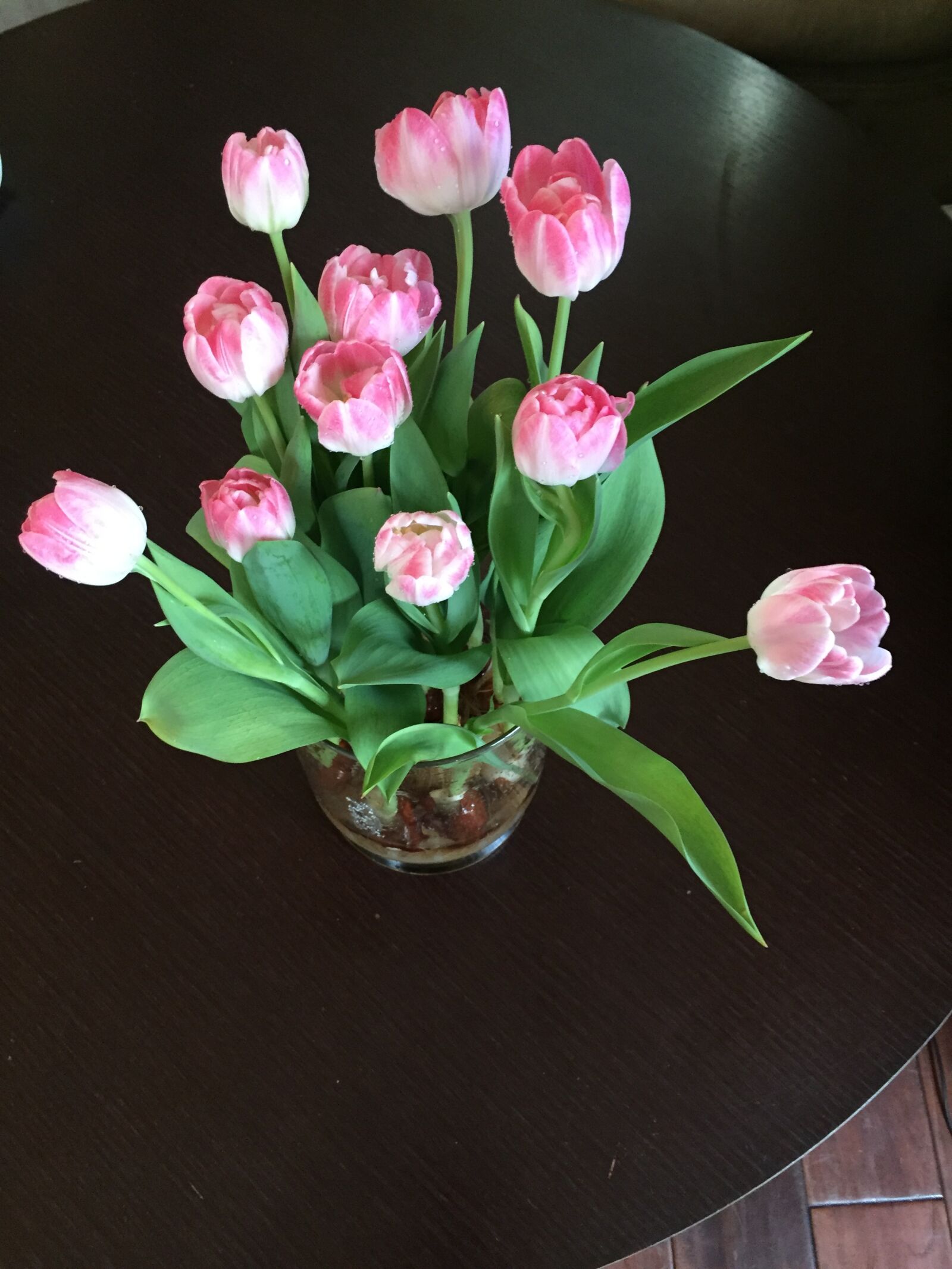 iPhone 6 back camera 4.15mm f/2.2 sample photo. Tulips, green, pink photography