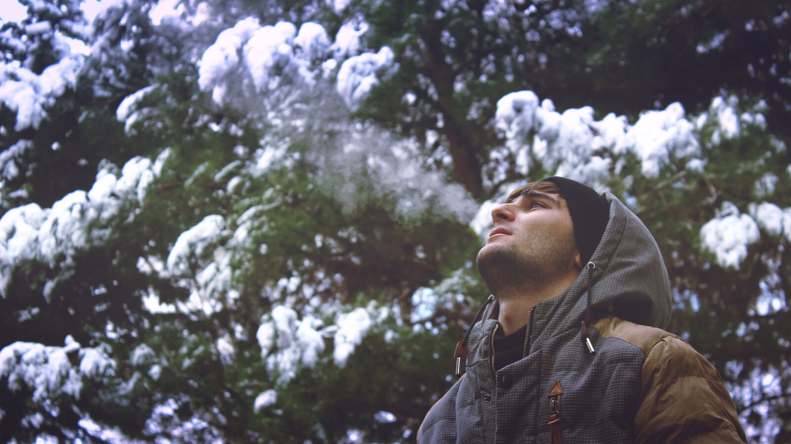 Canon EOS 600D (Rebel EOS T3i / EOS Kiss X5) sample photo. Young, man, looking, up photography