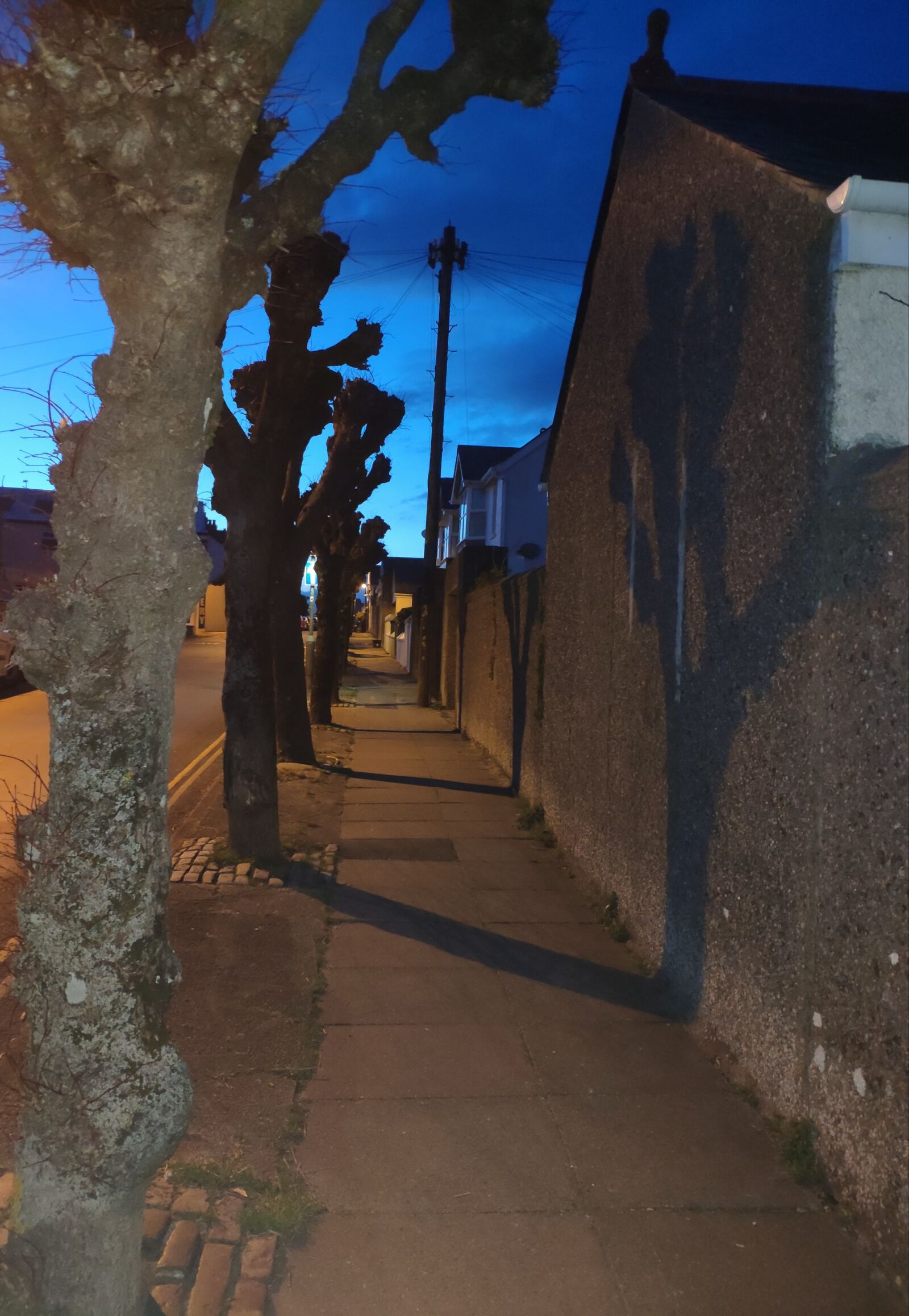 Xiaomi MI 8 sample photo. Twilight, trees, dusk photography