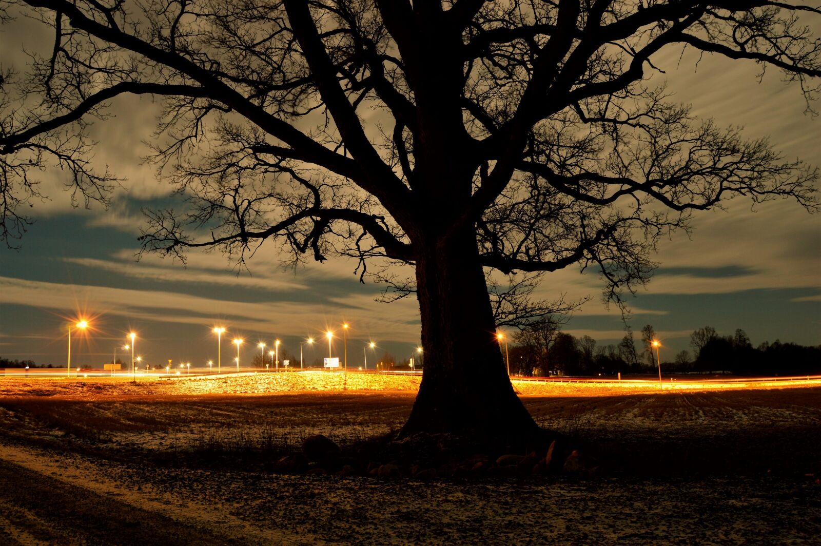 Nikon D3200 sample photo. Clouds, evening, field, forest photography