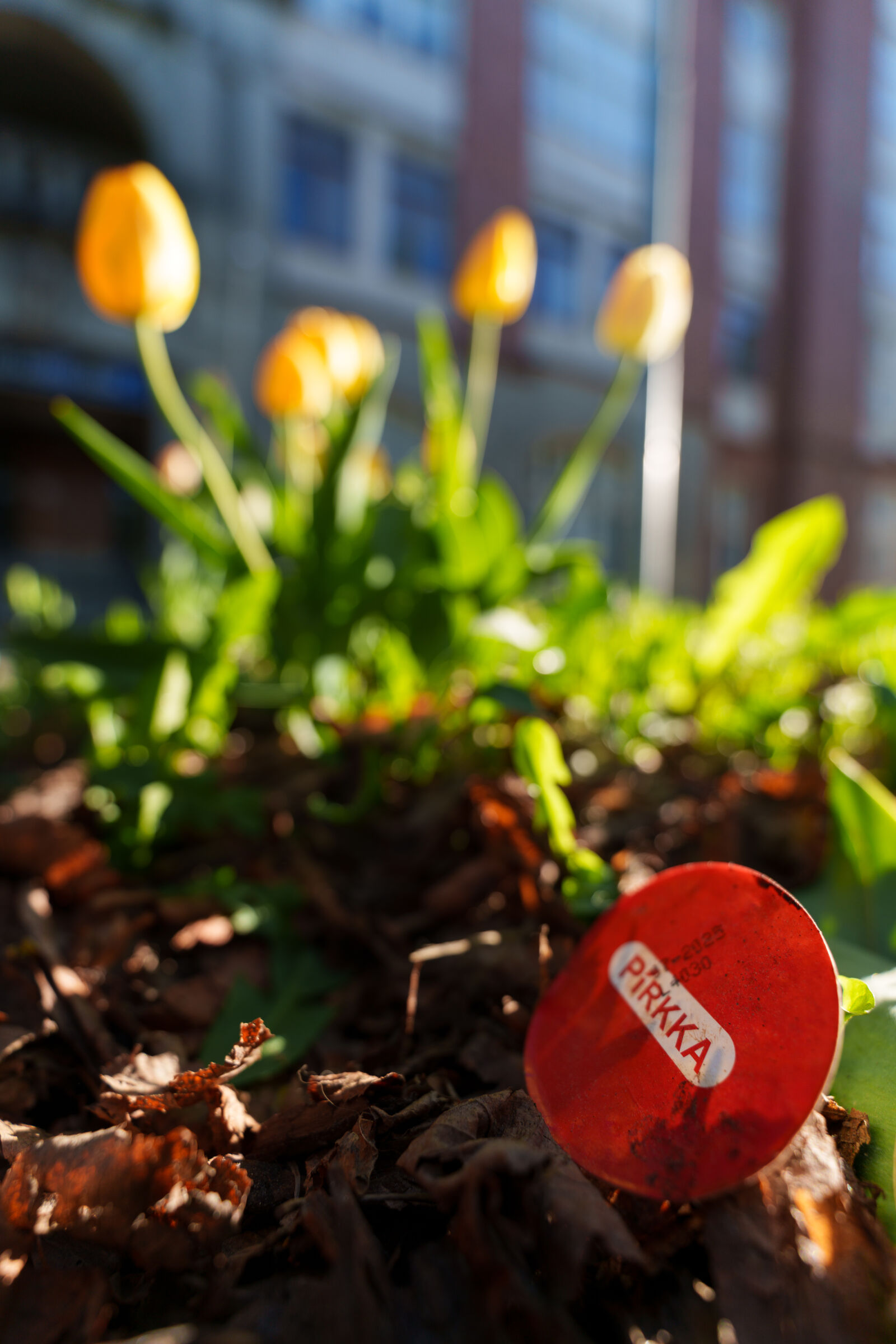 Sony a7R V sample photo. Littering for pirkka photography
