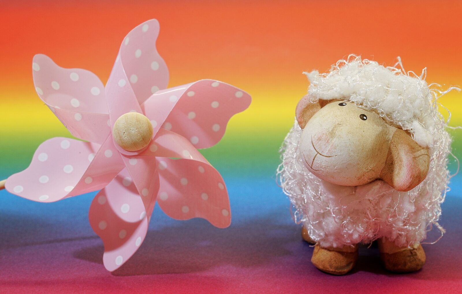 Sony ILCA-77M2 + 35mm F1.4 sample photo. Background, colorful, pinwheel photography