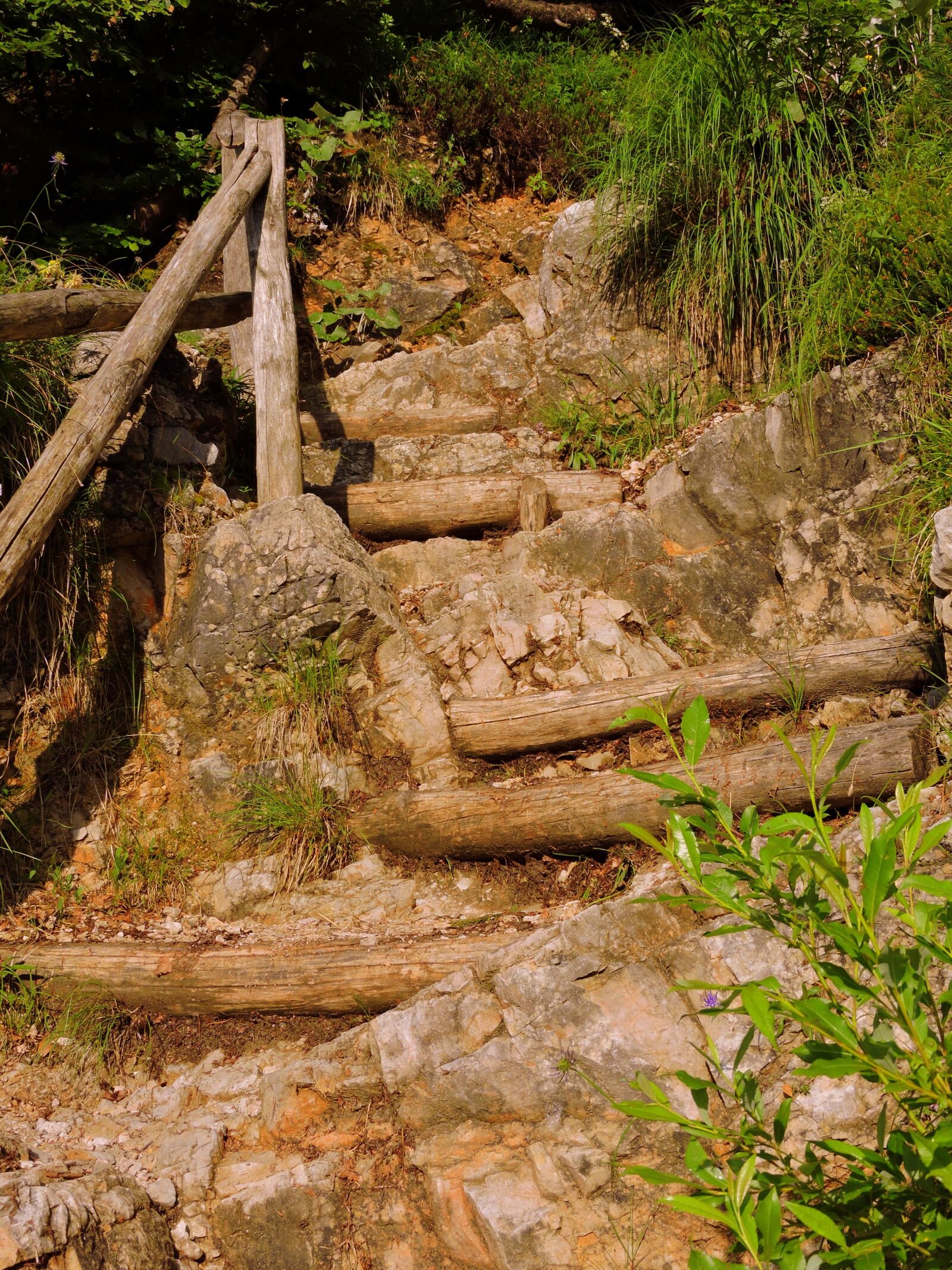 Nikon Coolpix P600 sample photo. Staircase, trail, wood photography