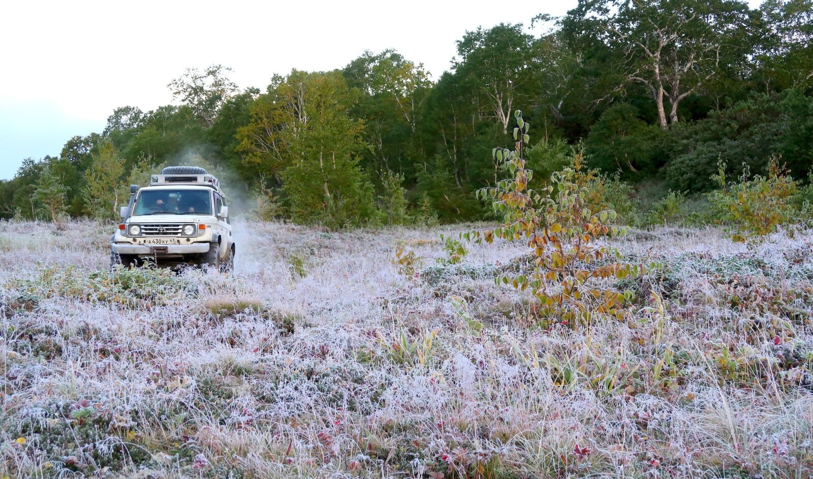 Canon PowerShot G7 X Mark II sample photo. The first frost, early photography
