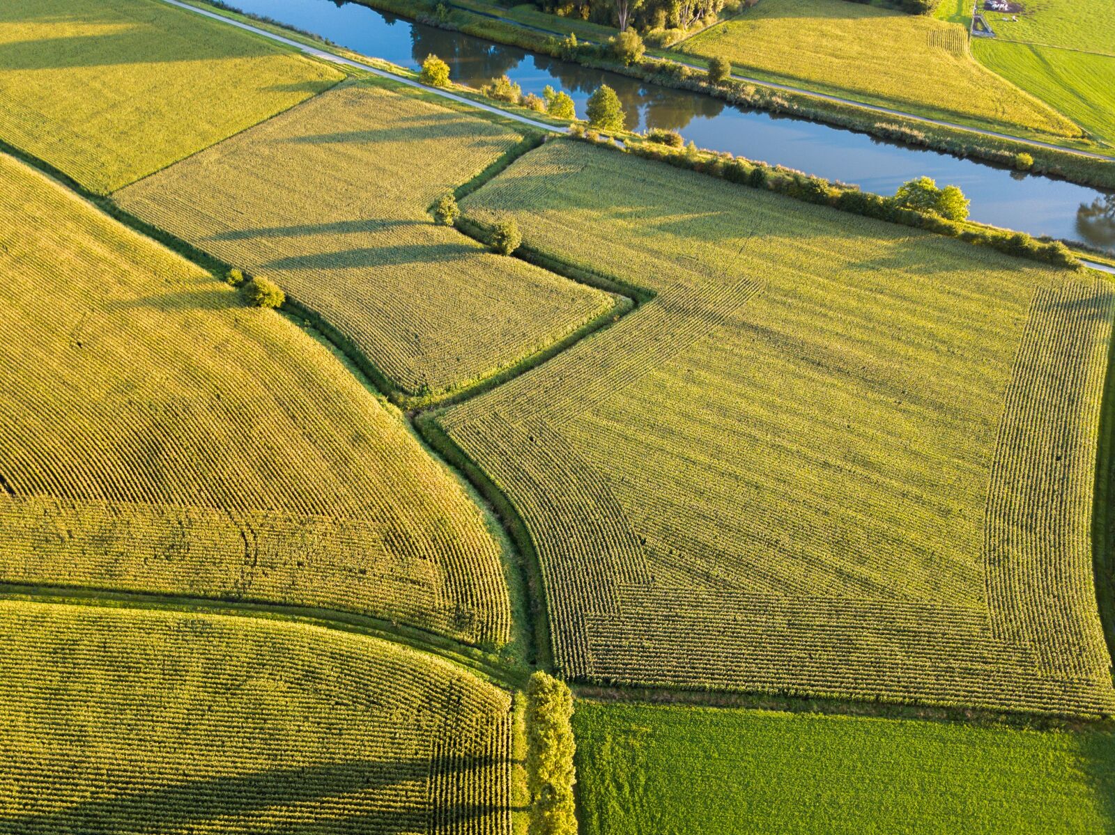 DJI FC220 sample photo. Drone, field, nature photography