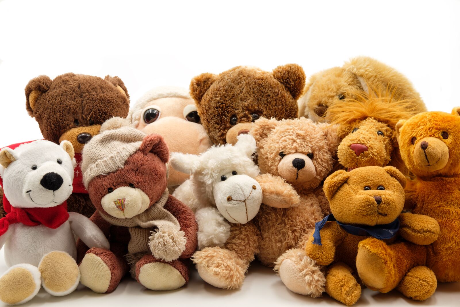 Fujifilm X-T2 + Fujifilm XF 35mm F2 R WR sample photo. Soft toys, stuffed animals photography