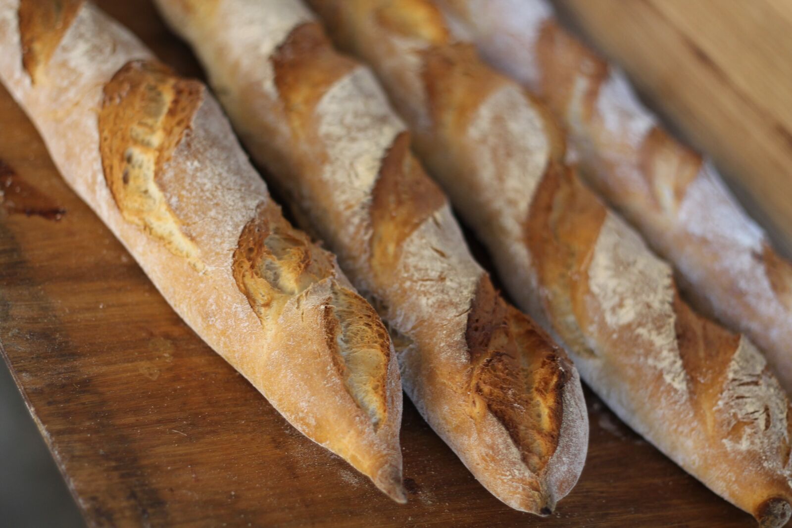 Canon EOS 1100D (EOS Rebel T3 / EOS Kiss X50) + Canon EF 50mm F1.8 II sample photo. Food, bread, healthy photography