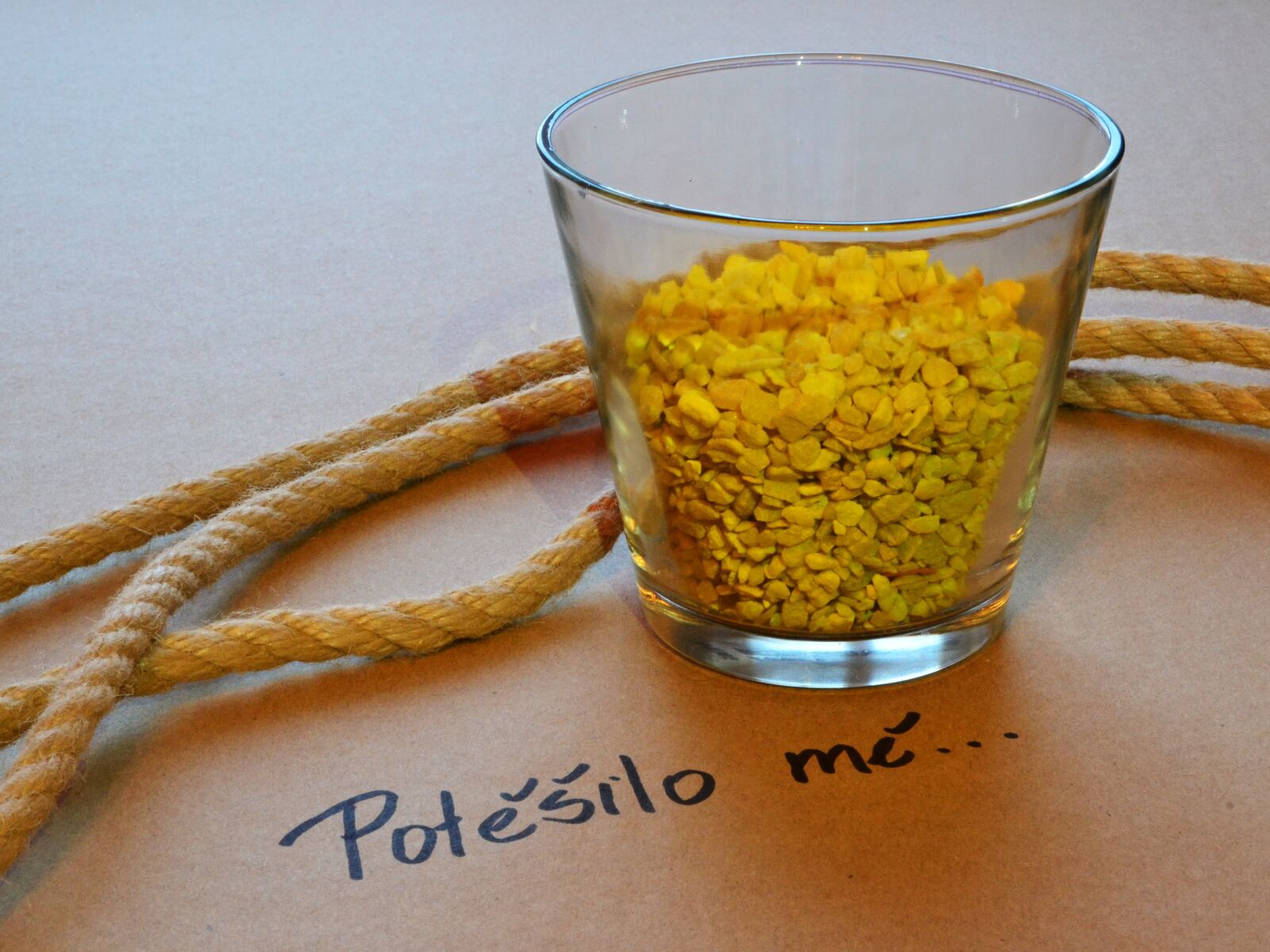 Nikon D3100 sample photo. Pleased, rhinestones, rope photography