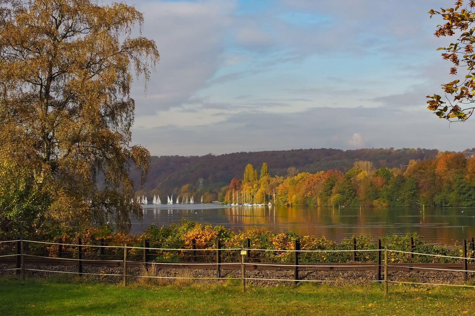 Olympus OM-D E-M10 sample photo. Autumn, nature, trees photography
