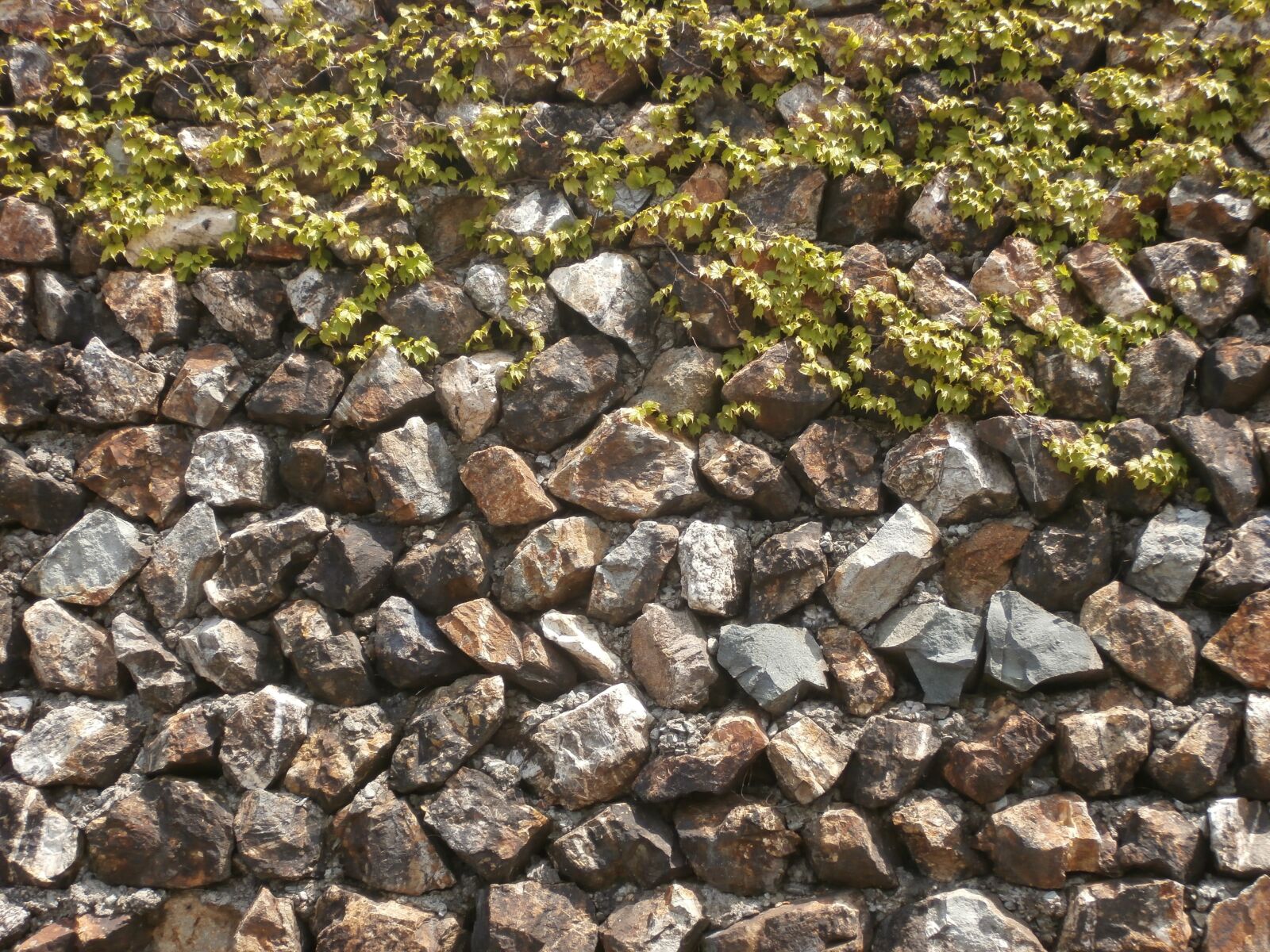 Olympus VR350,D755 sample photo. Rock wall, japan, sado photography