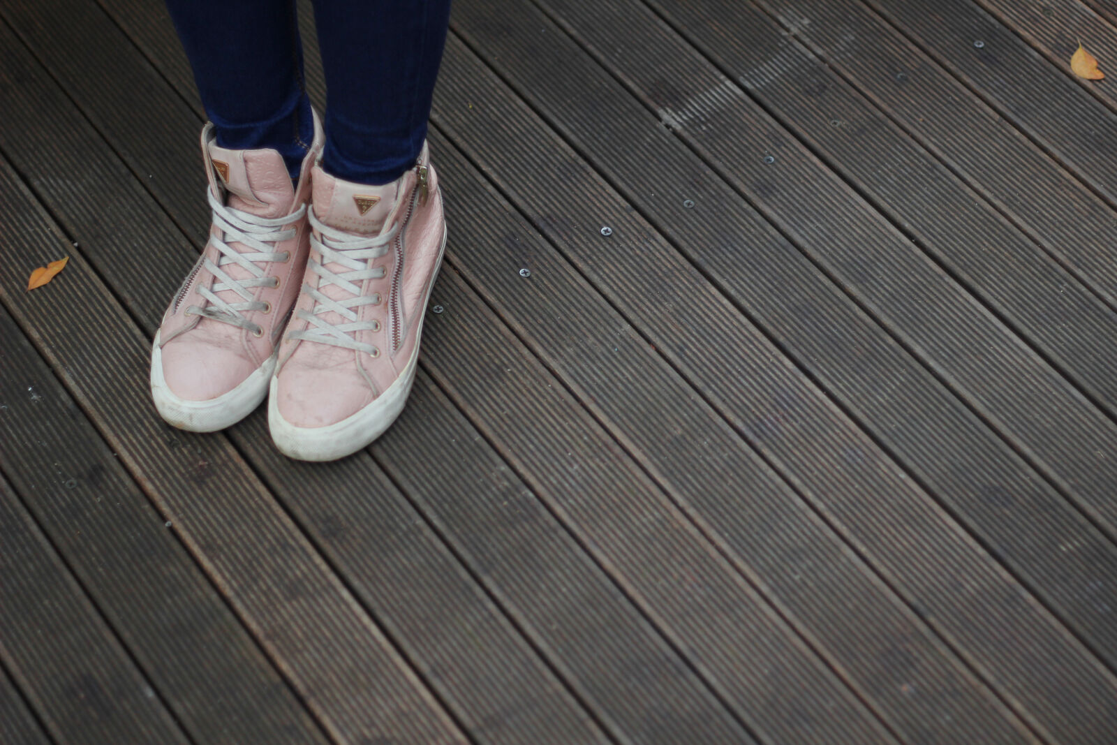 Canon EOS 550D (EOS Rebel T2i / EOS Kiss X4) sample photo. Person, wearing, pink, and photography
