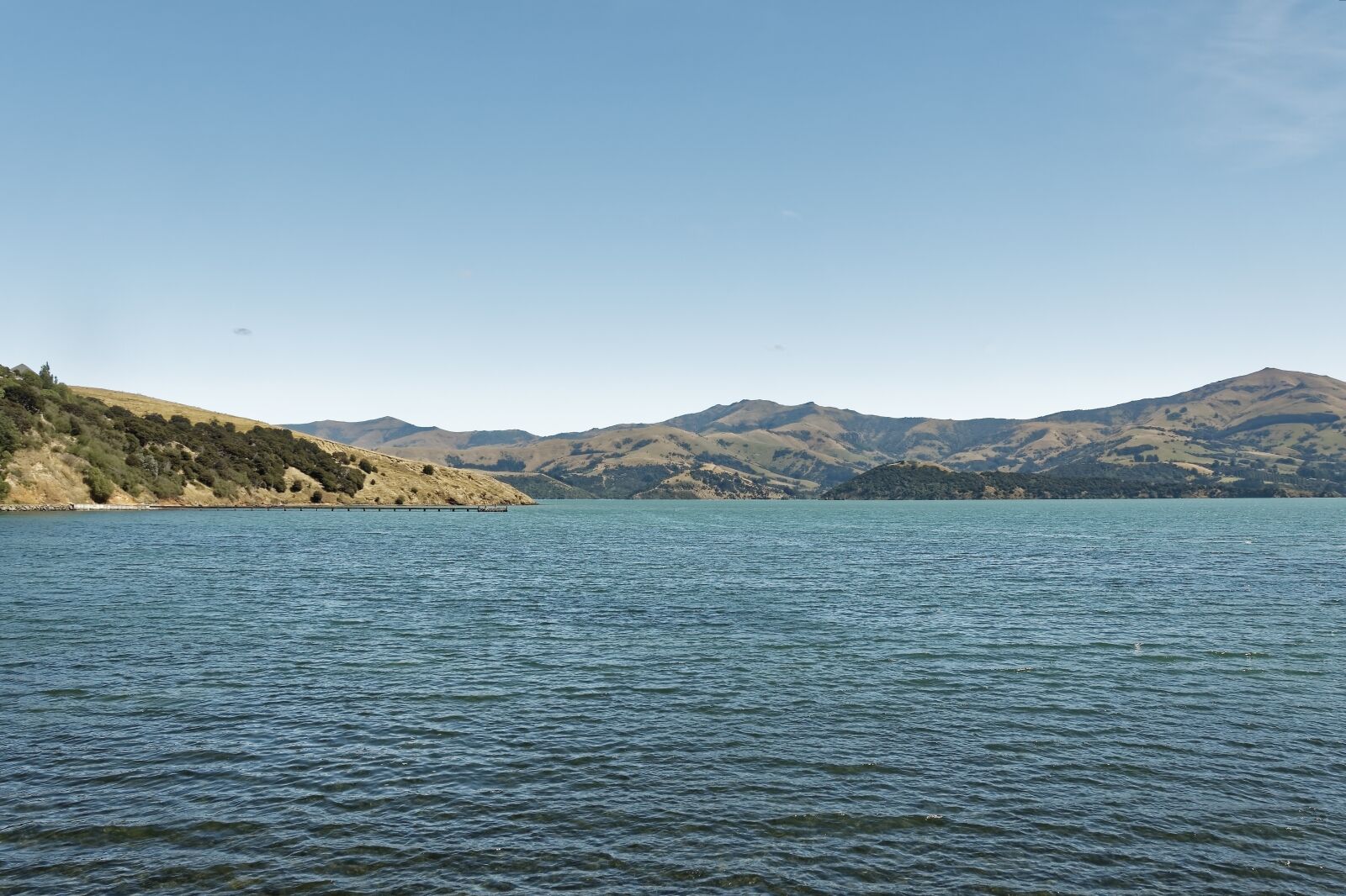 Nikon D500 sample photo. New zealand, banks peninsula photography