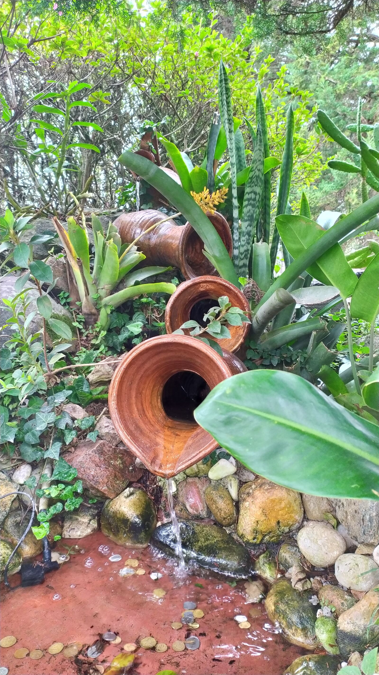 Xiaomi Redmi Note 7 sample photo. Garden, source, base photography
