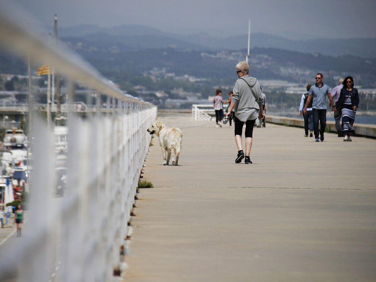 Canon EOS 20D sample photo. Walk, pet, dog photography
