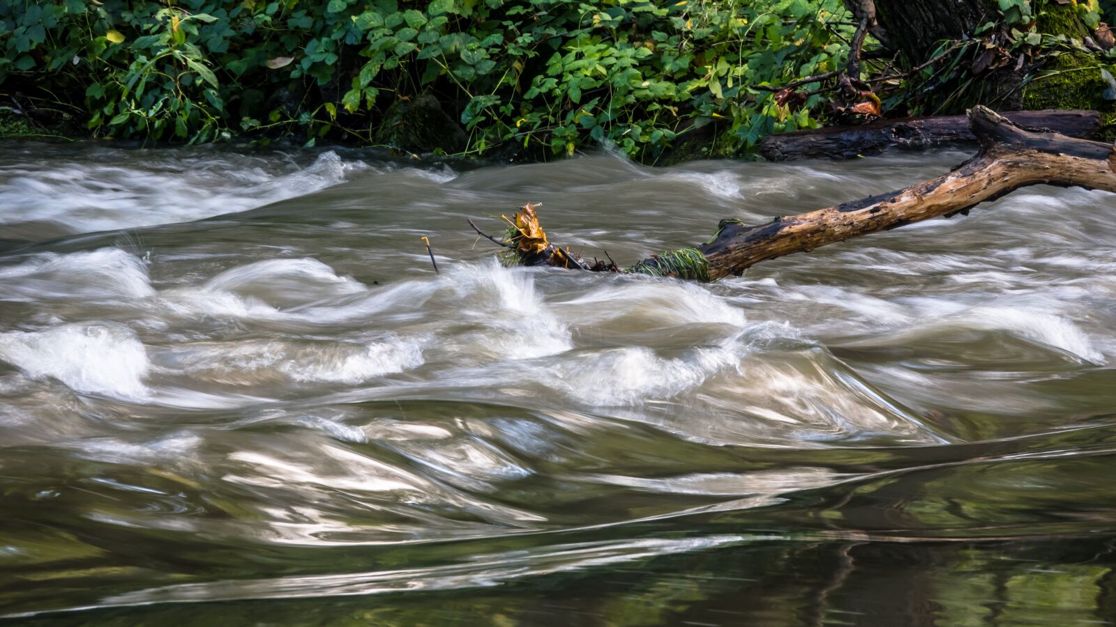 Canon PowerShot G3 X sample photo. Flow, river, water photography