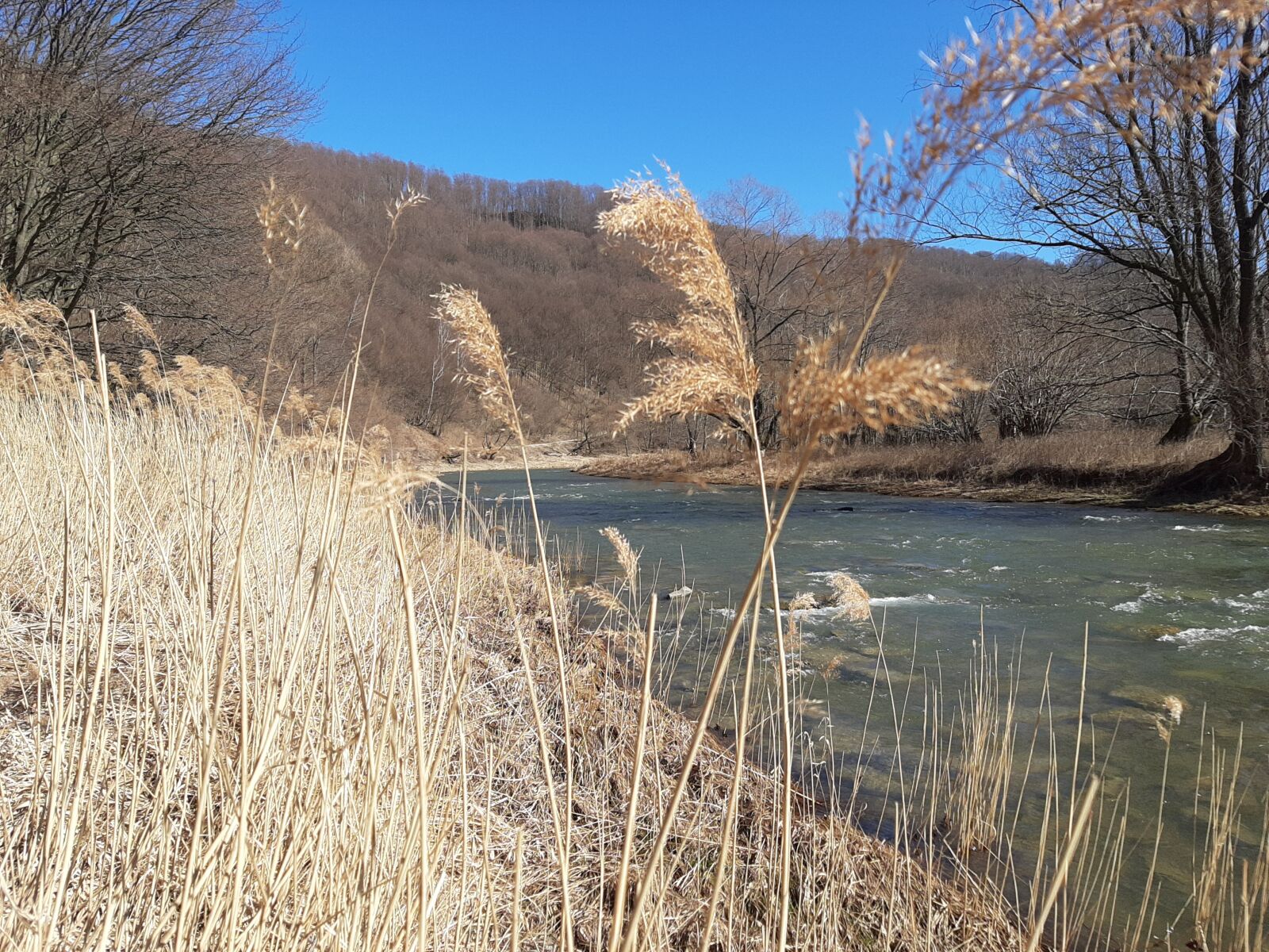 Samsung Galaxy A50 sample photo. River, san, spring photography