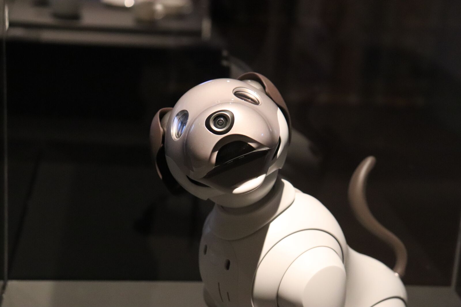 Canon EOS 800D (EOS Rebel T7i / EOS Kiss X9i) sample photo. Robot, animal, dog photography