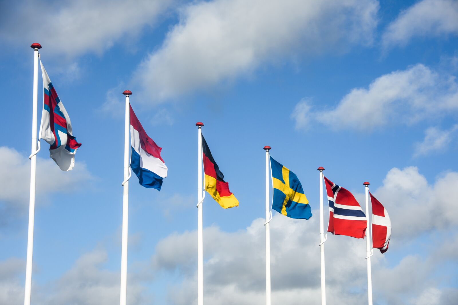 Nikon D7200 sample photo. Flags, banner, blow photography
