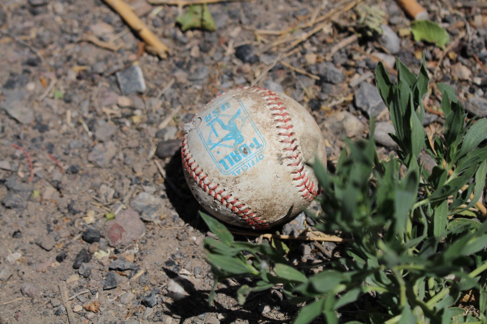 Canon EOS 700D (EOS Rebel T5i / EOS Kiss X7i) sample photo. Baseball, official, ball photography