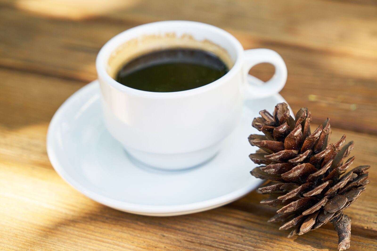 Sony a7R II sample photo. Coffee, cup, porcelain photography
