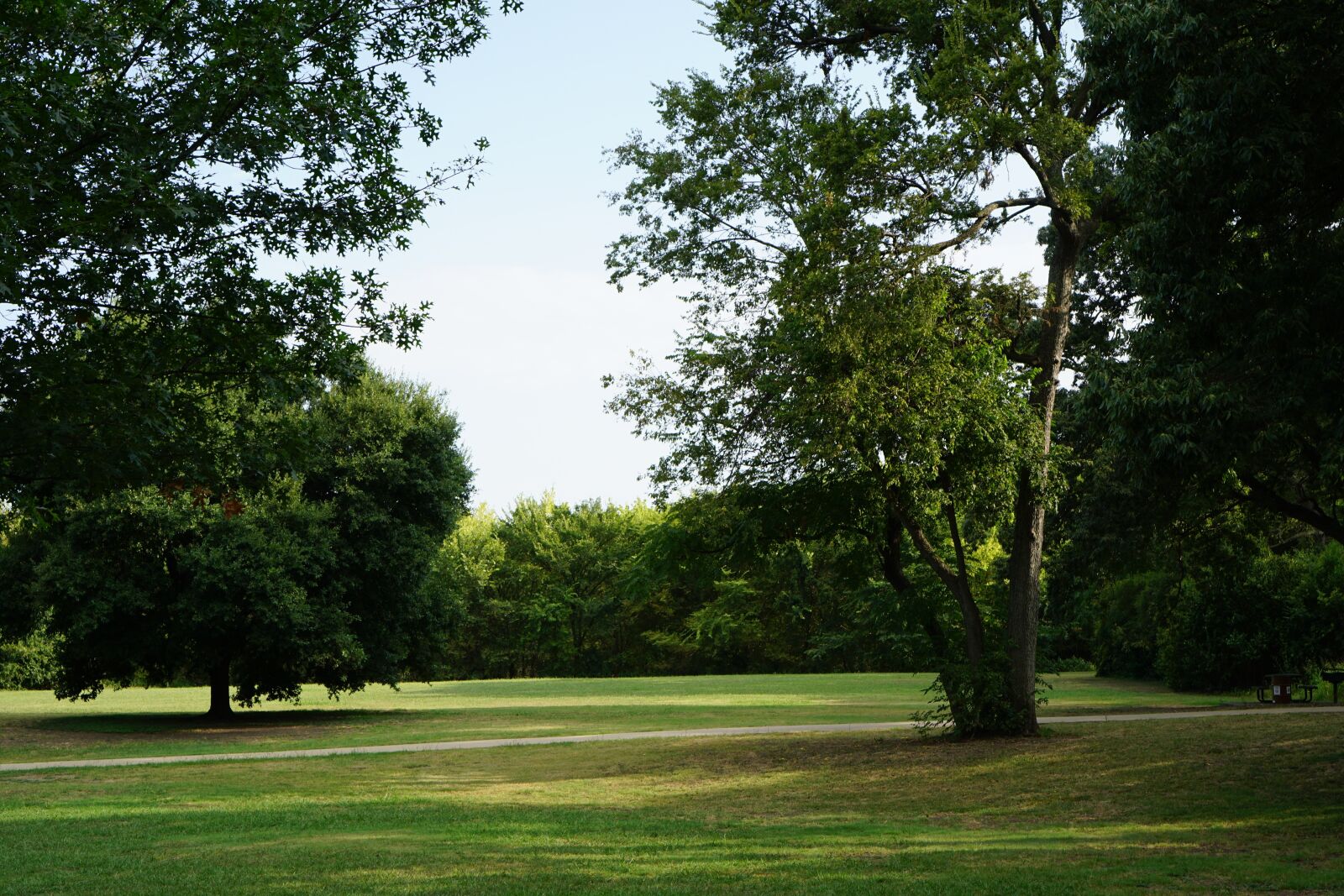 Sony a6000 + Sony E 35mm F1.8 OSS sample photo. Park, trees, grass photography