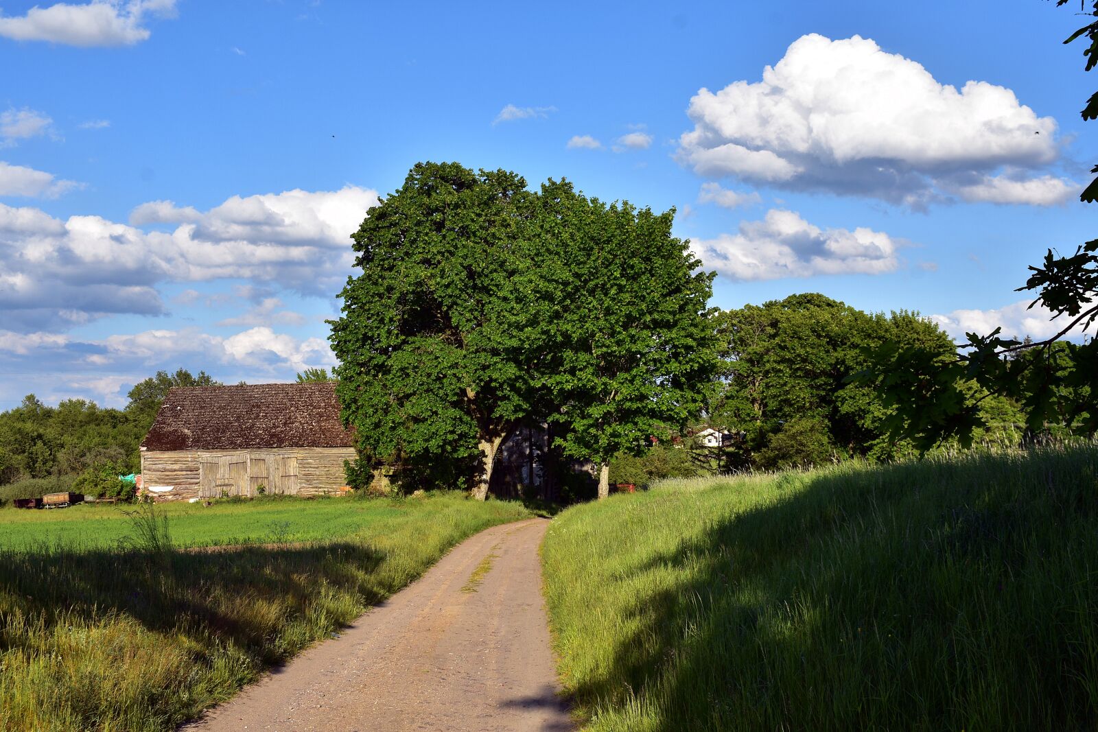 Nikon D3400 sample photo. Way, village, landscape photography