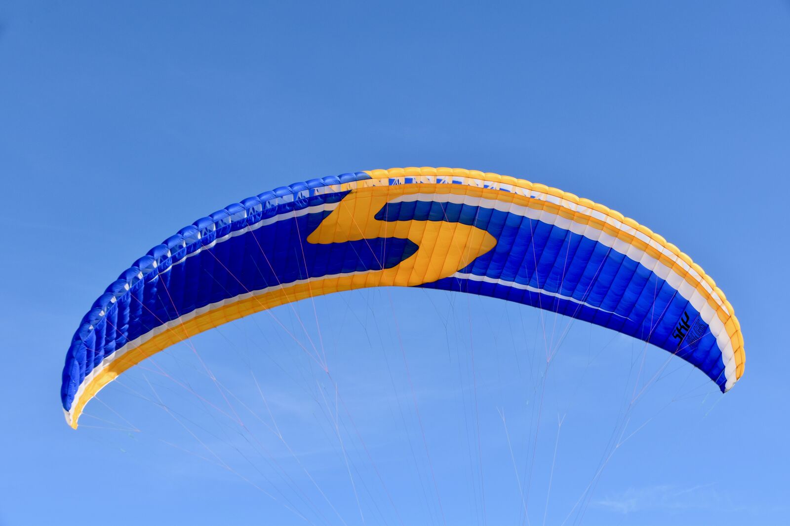 Nikon D5600 sample photo. Paragliding, paraglider wing, paraglider photography