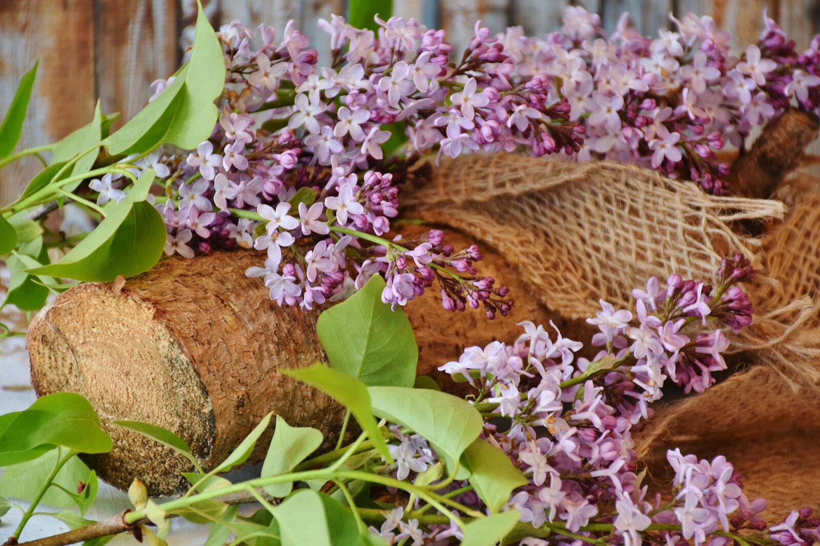 Nikon D7200 sample photo. Lilac, lilac bouquet, flowers photography