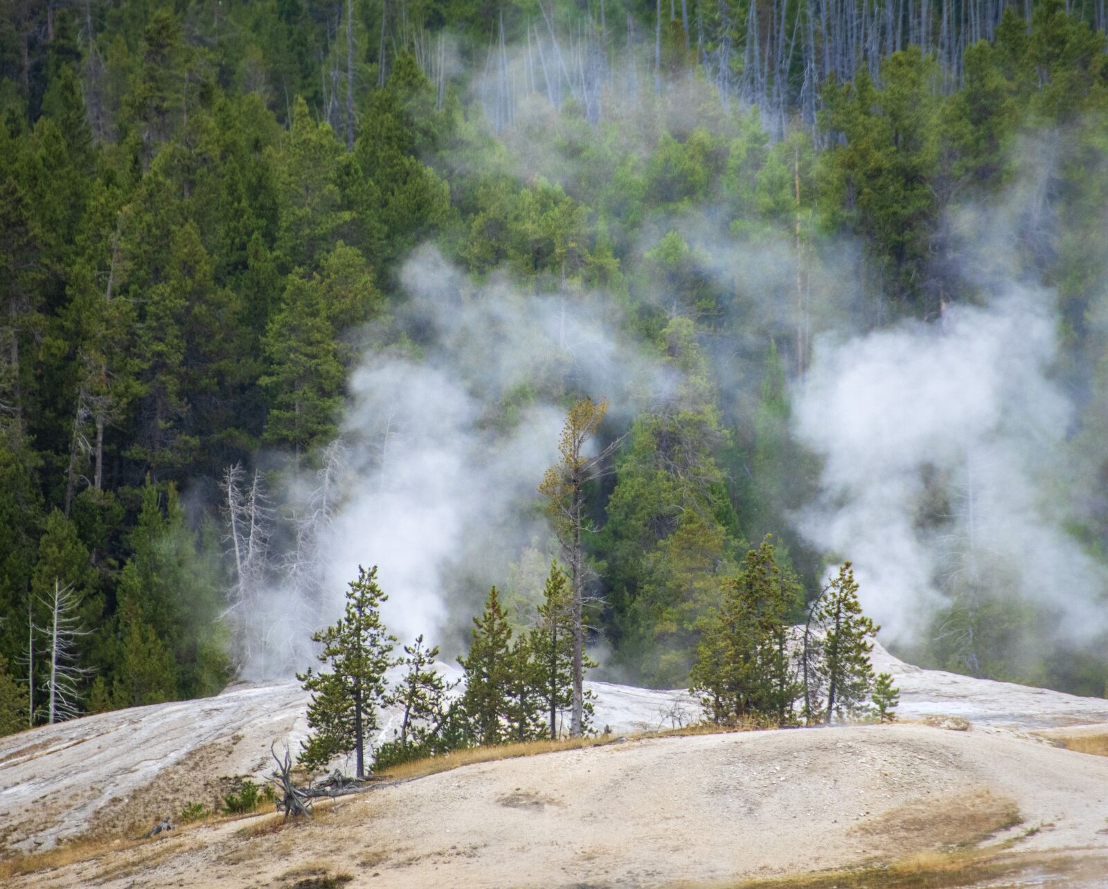 Nikon D850 sample photo. Geyser, thermal, yellowstone photography