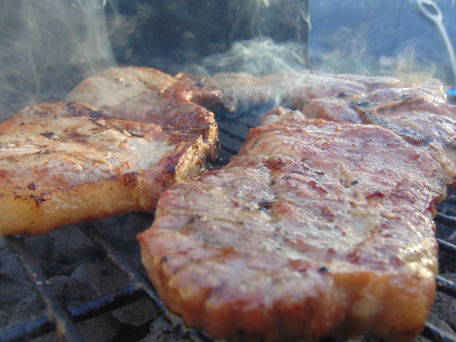 Sony Cyber-shot DSC-H300 sample photo. Meat, food, grilling photography
