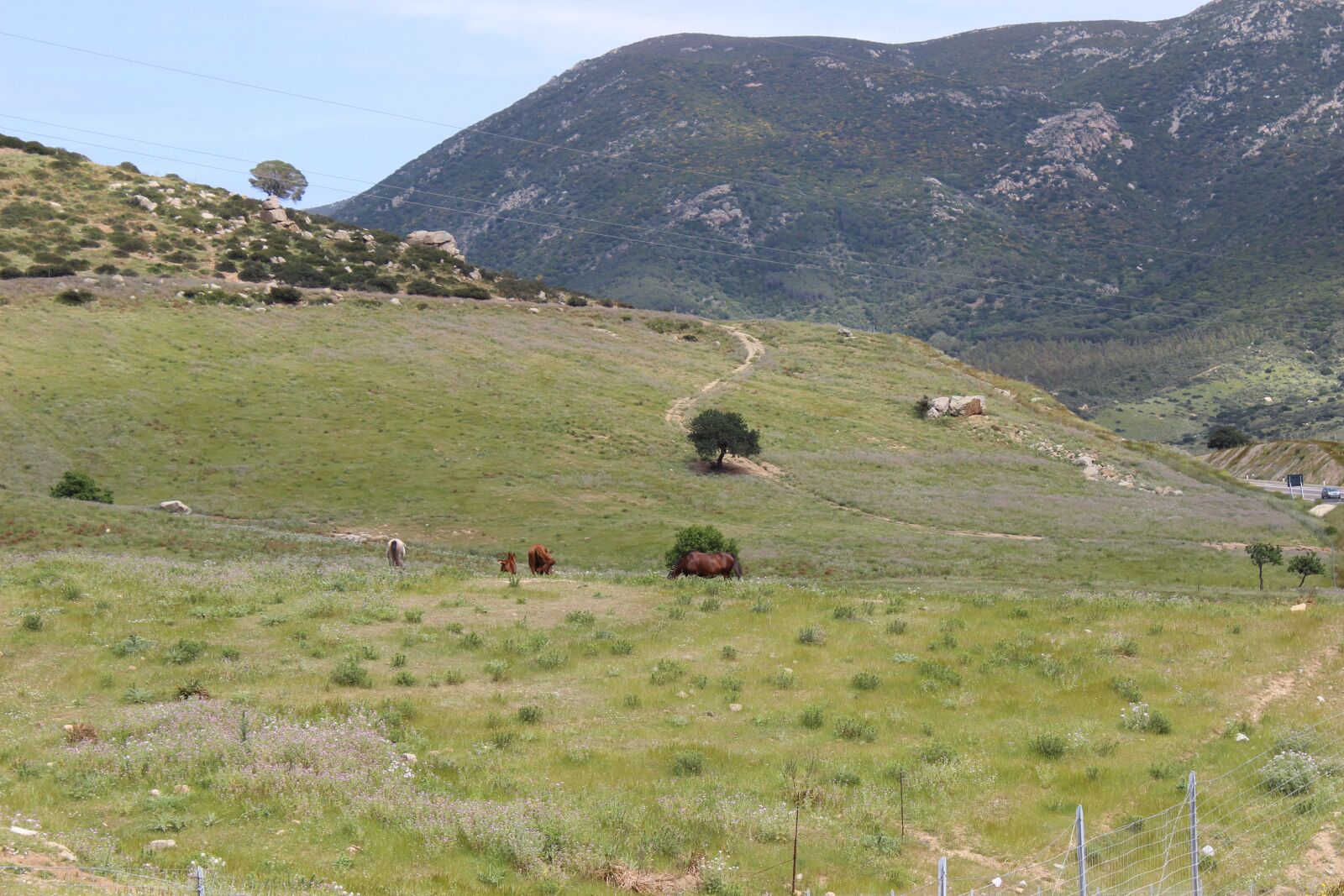 Canon EOS 600D (Rebel EOS T3i / EOS Kiss X5) sample photo. Sardinia, nature, landscape photography