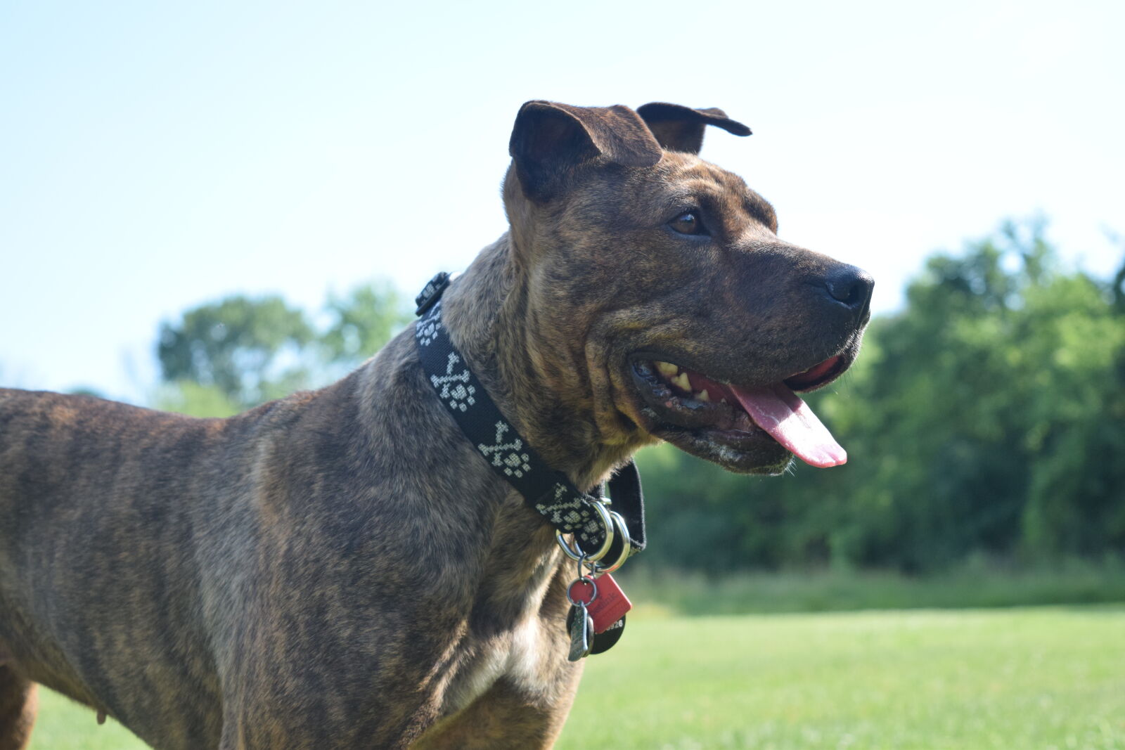 Nikon D3300 sample photo