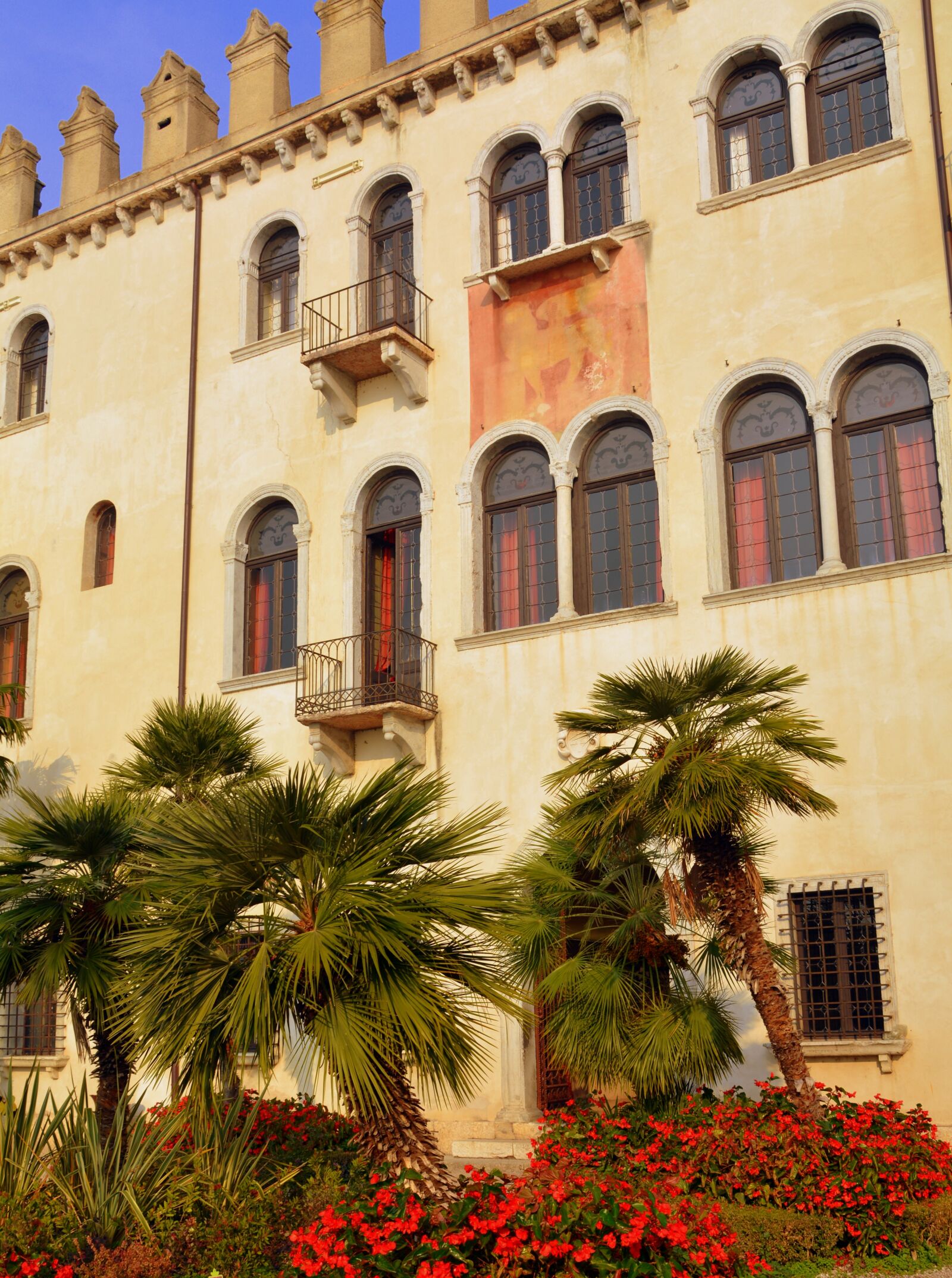Nikon D7100 sample photo. Palazzo, garden, palma photography