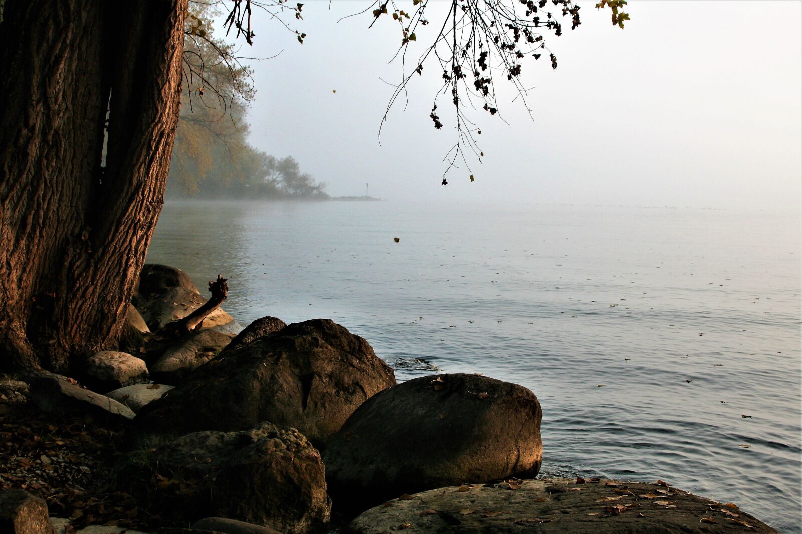 Canon EOS 400D (EOS Digital Rebel XTi / EOS Kiss Digital X) sample photo. Lake, bodensee, beach photography