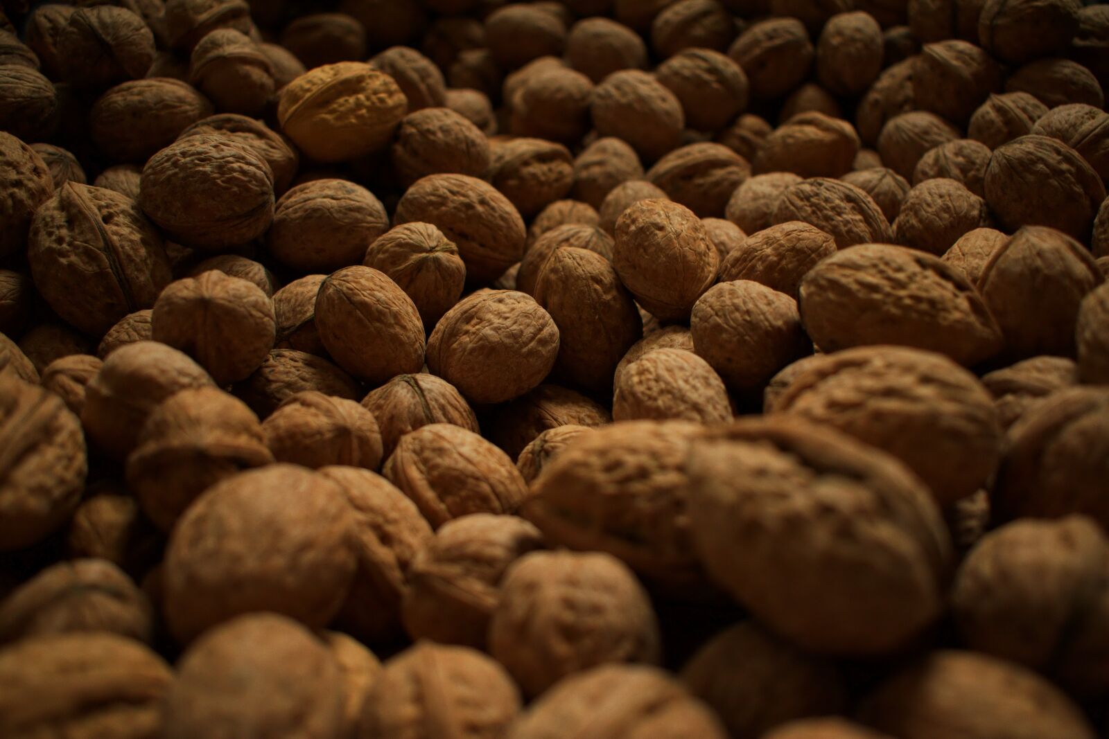 Nikon D3300 sample photo. Walnut, nuts, walnuts photography