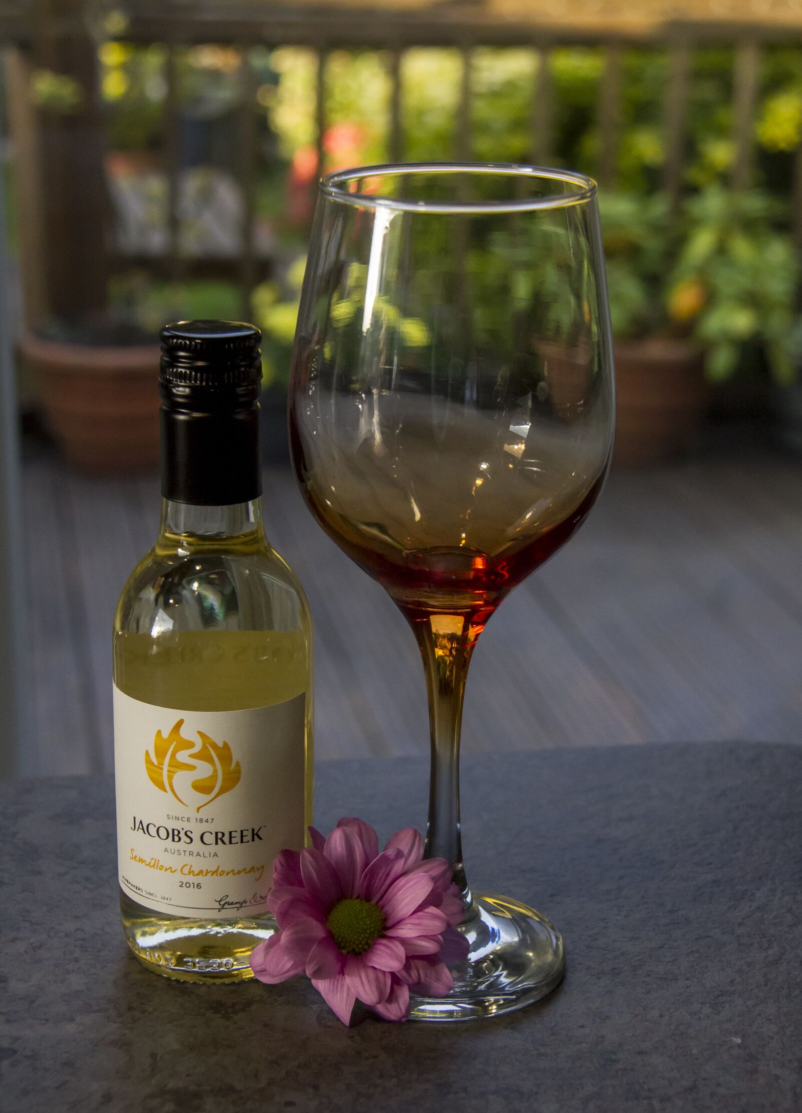 Canon EOS 7D sample photo. Wine, glass, drink photography