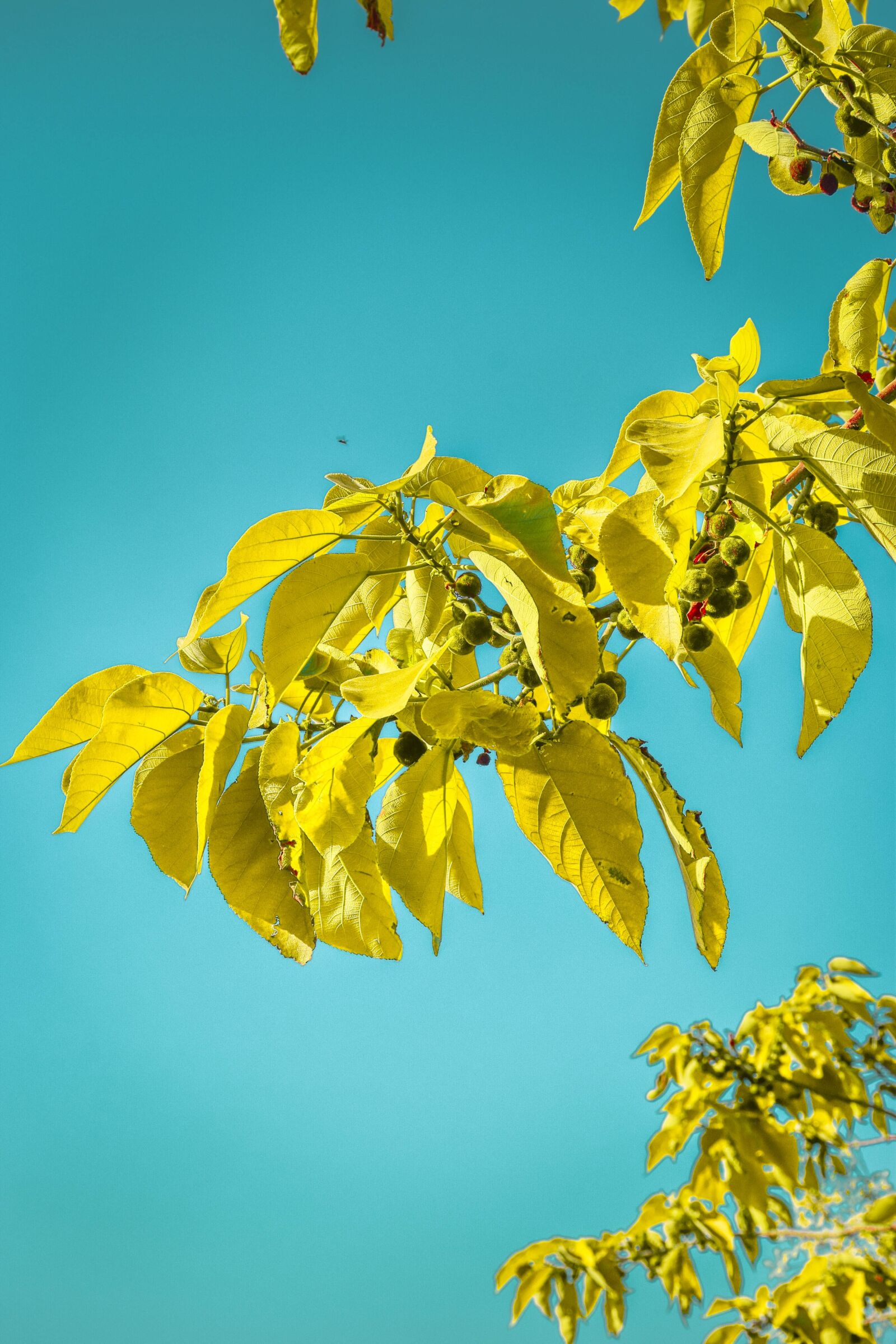 Nikon D5300 sample photo. Colors, beautiful, wow photography