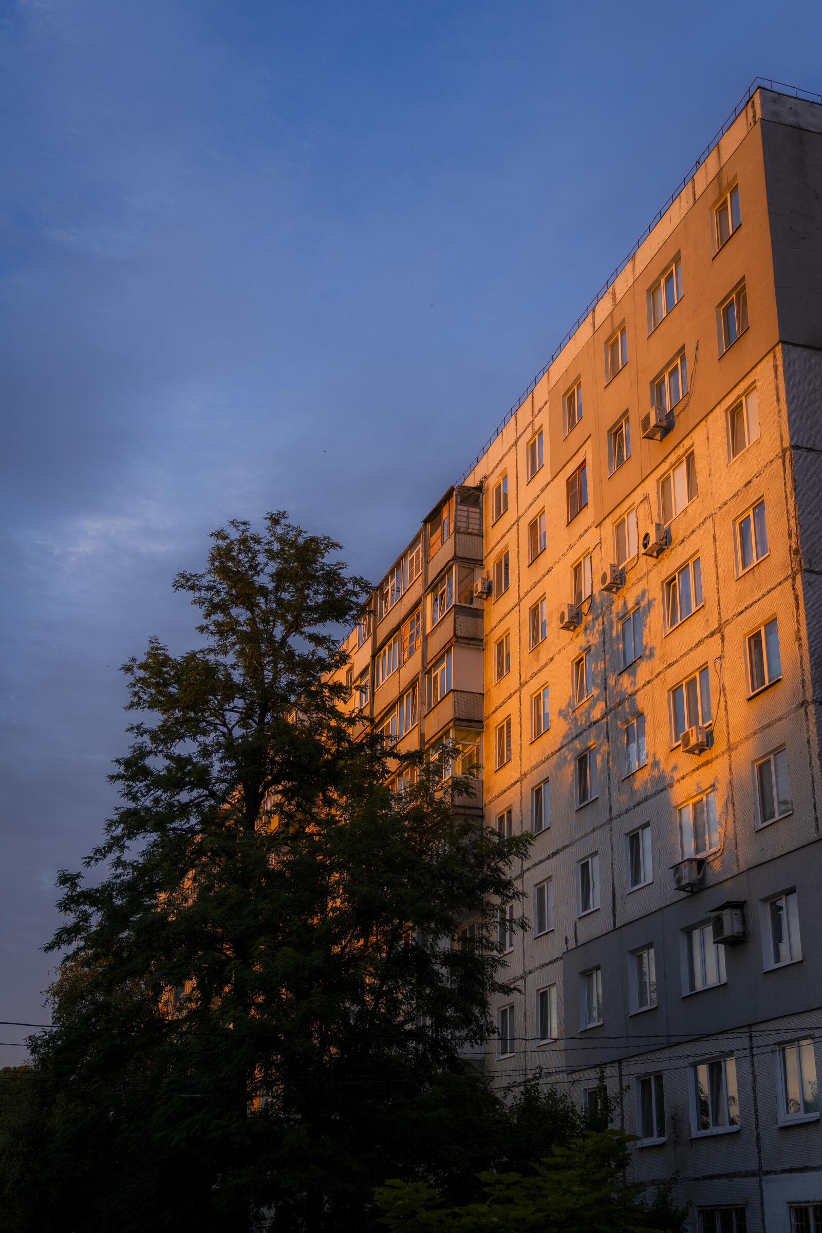 Sony a7 III + Sony FE 24-105mm F4 G OSS sample photo