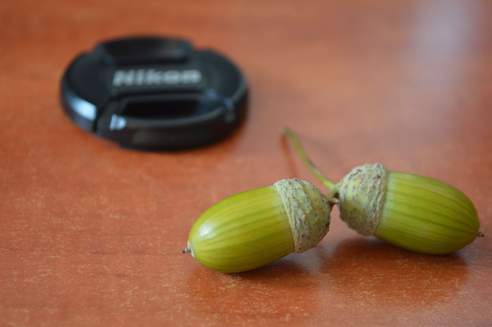 Nikon D3200 sample photo. Acorn, nuts, lens cap photography