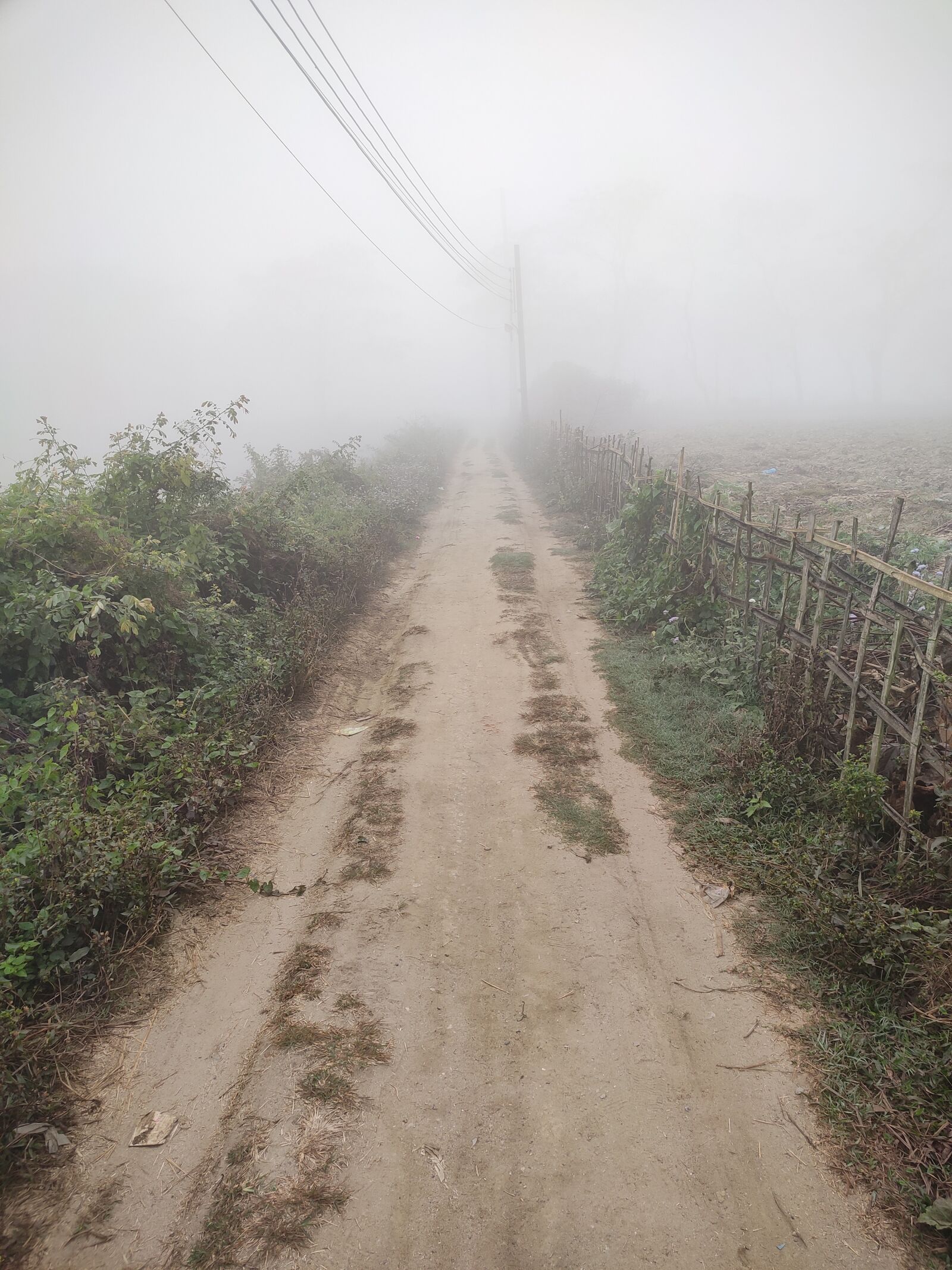 Xiaomi Redmi Note 7 Pro sample photo. Foggy road, fog, winter photography