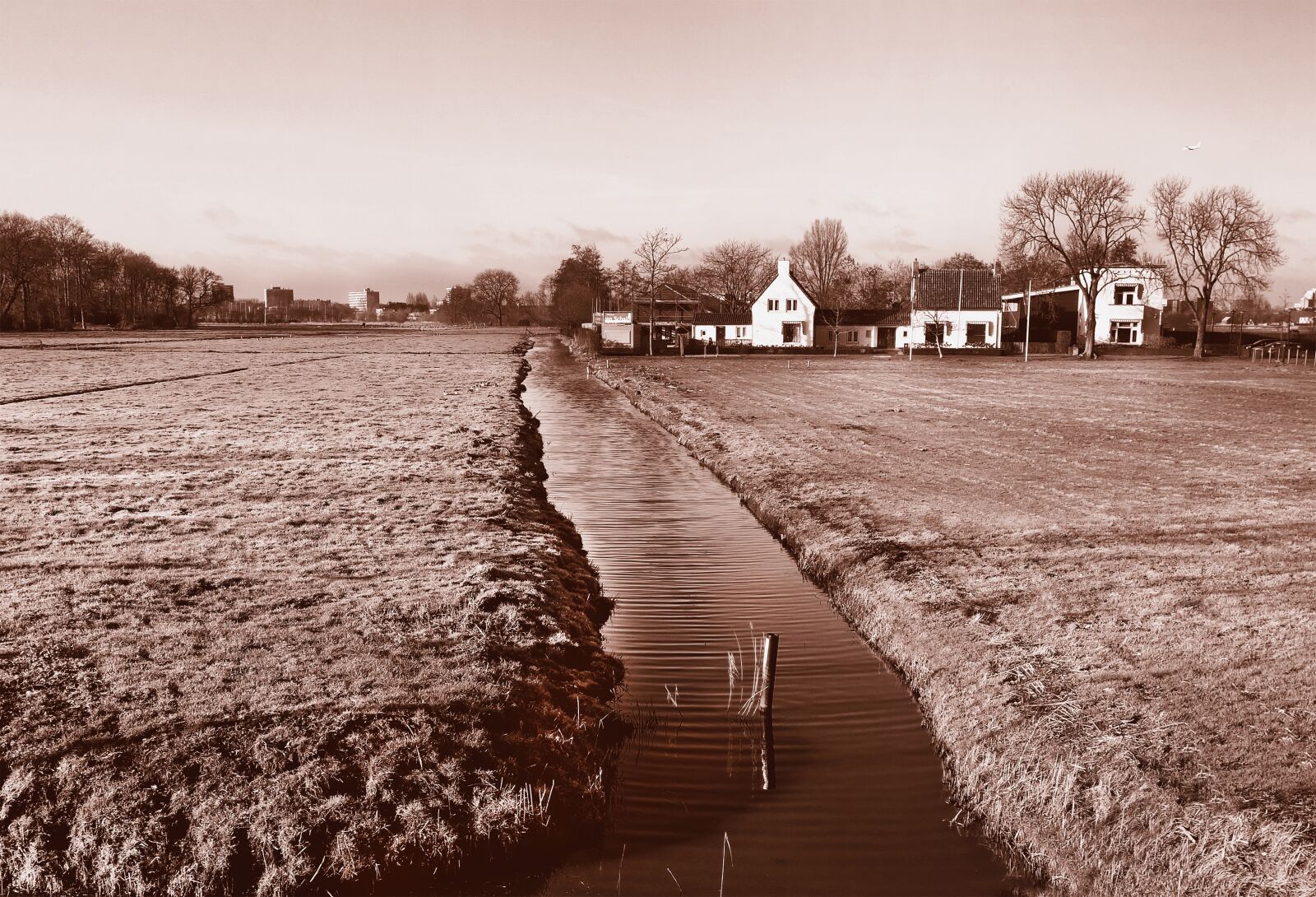 Sony Cyber-shot DSC-RX100 sample photo. Field, farmhouse, ditch photography