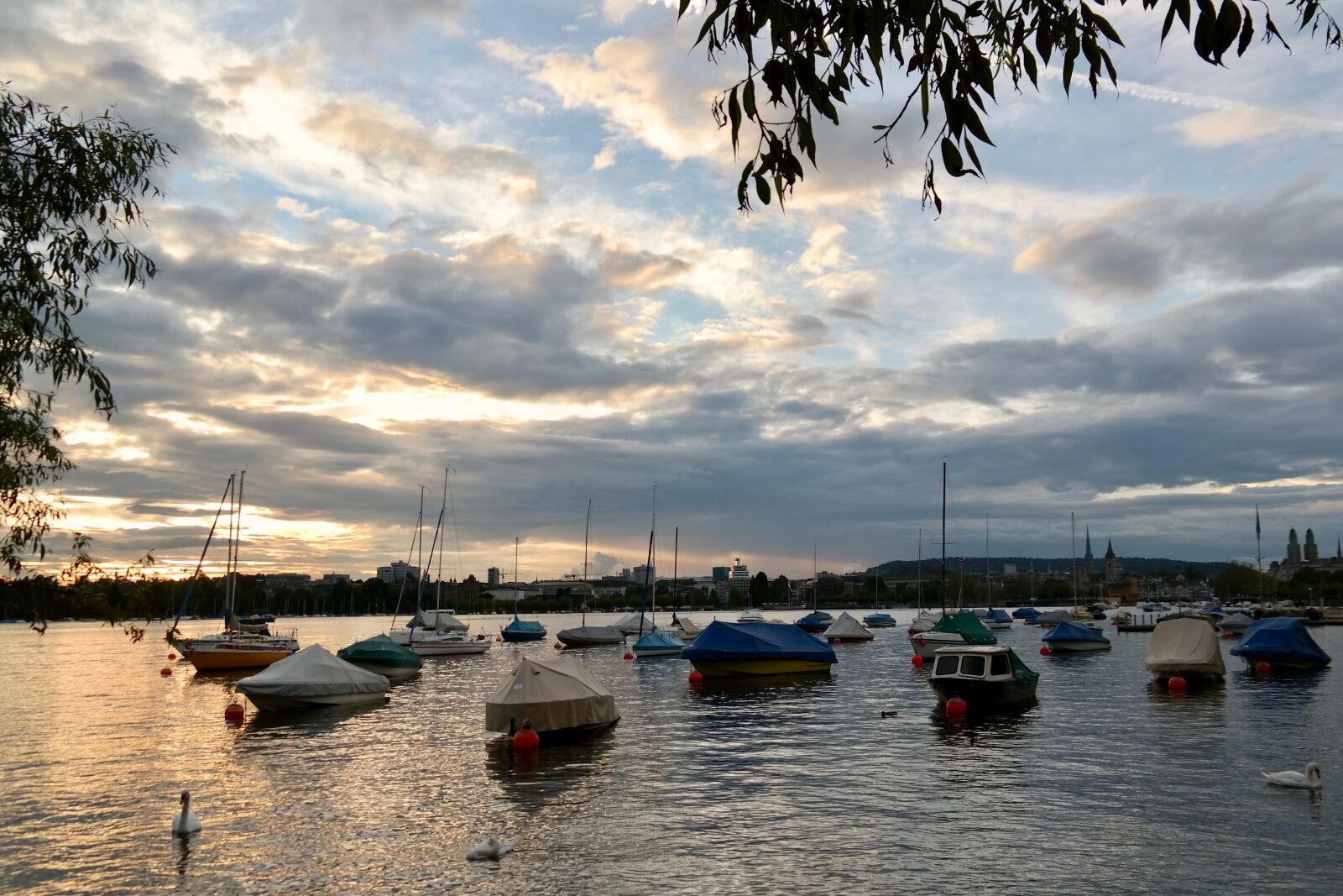 Samsung NX300 sample photo. Port, sunset, boats photography